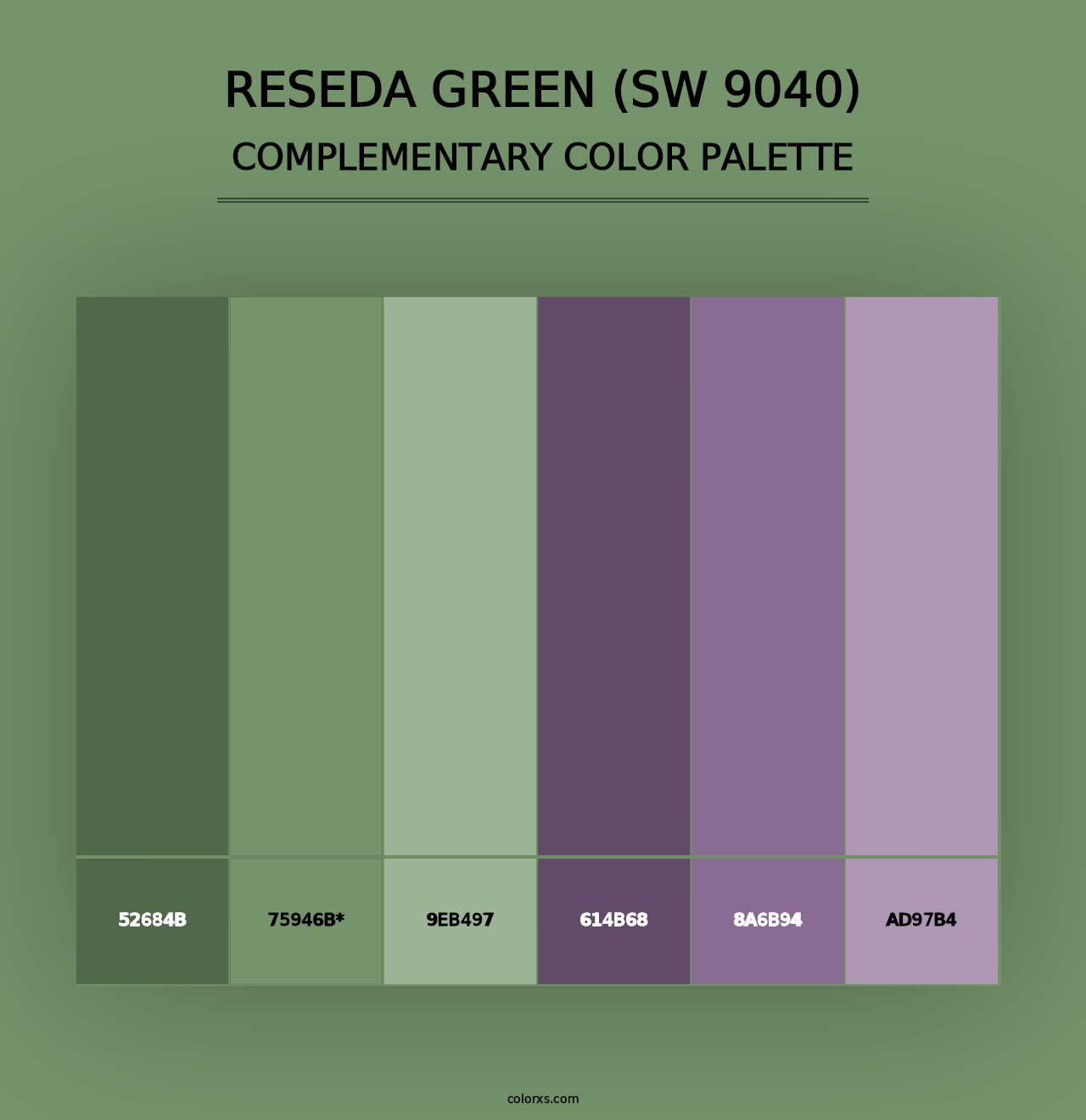 Reseda Green (SW 9040) - Complementary Color Palette