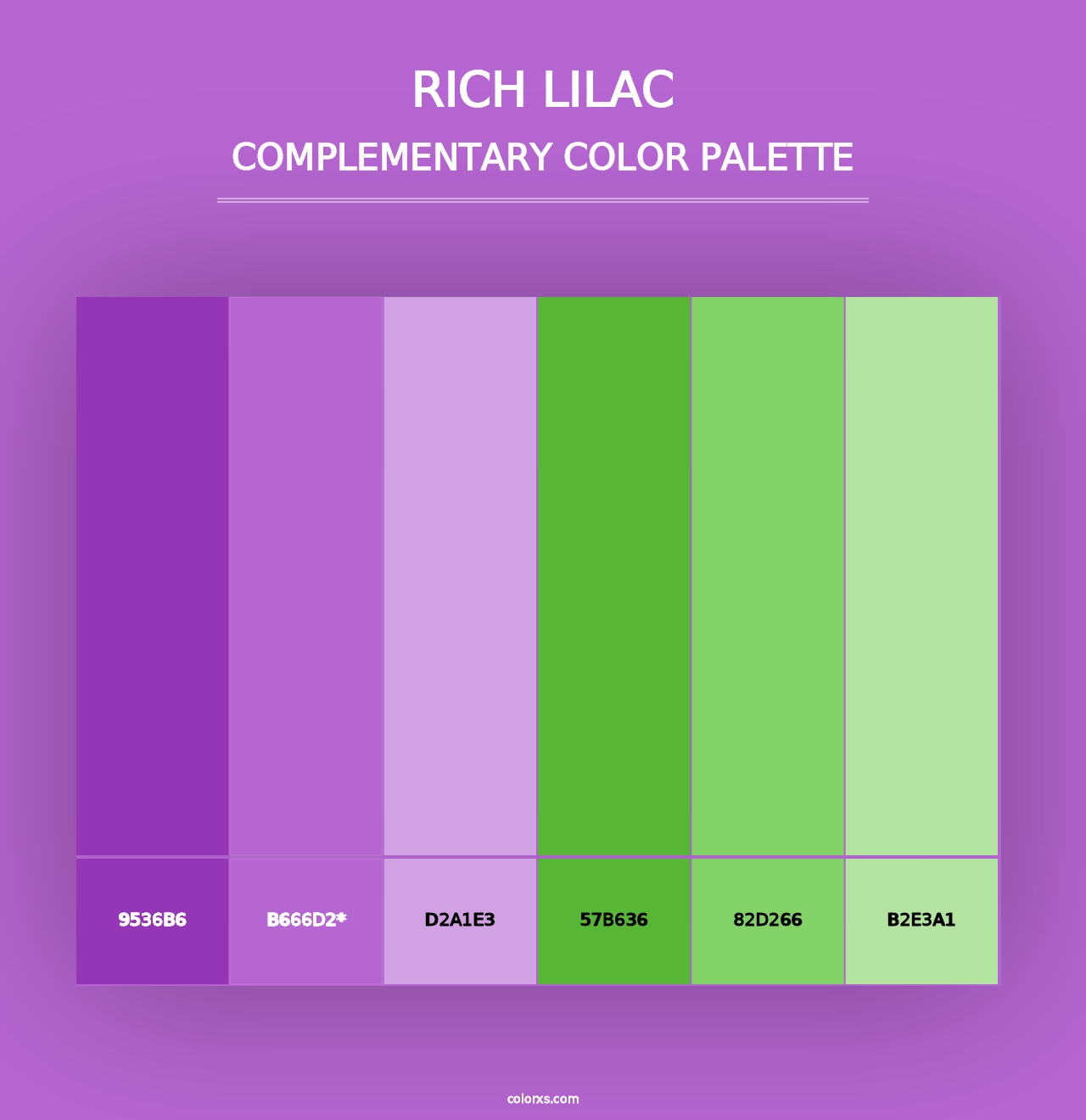 Rich Lilac - Complementary Color Palette