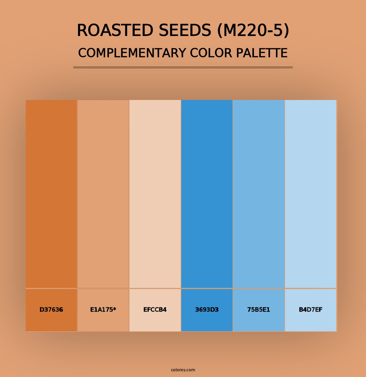 Roasted Seeds (M220-5) - Complementary Color Palette