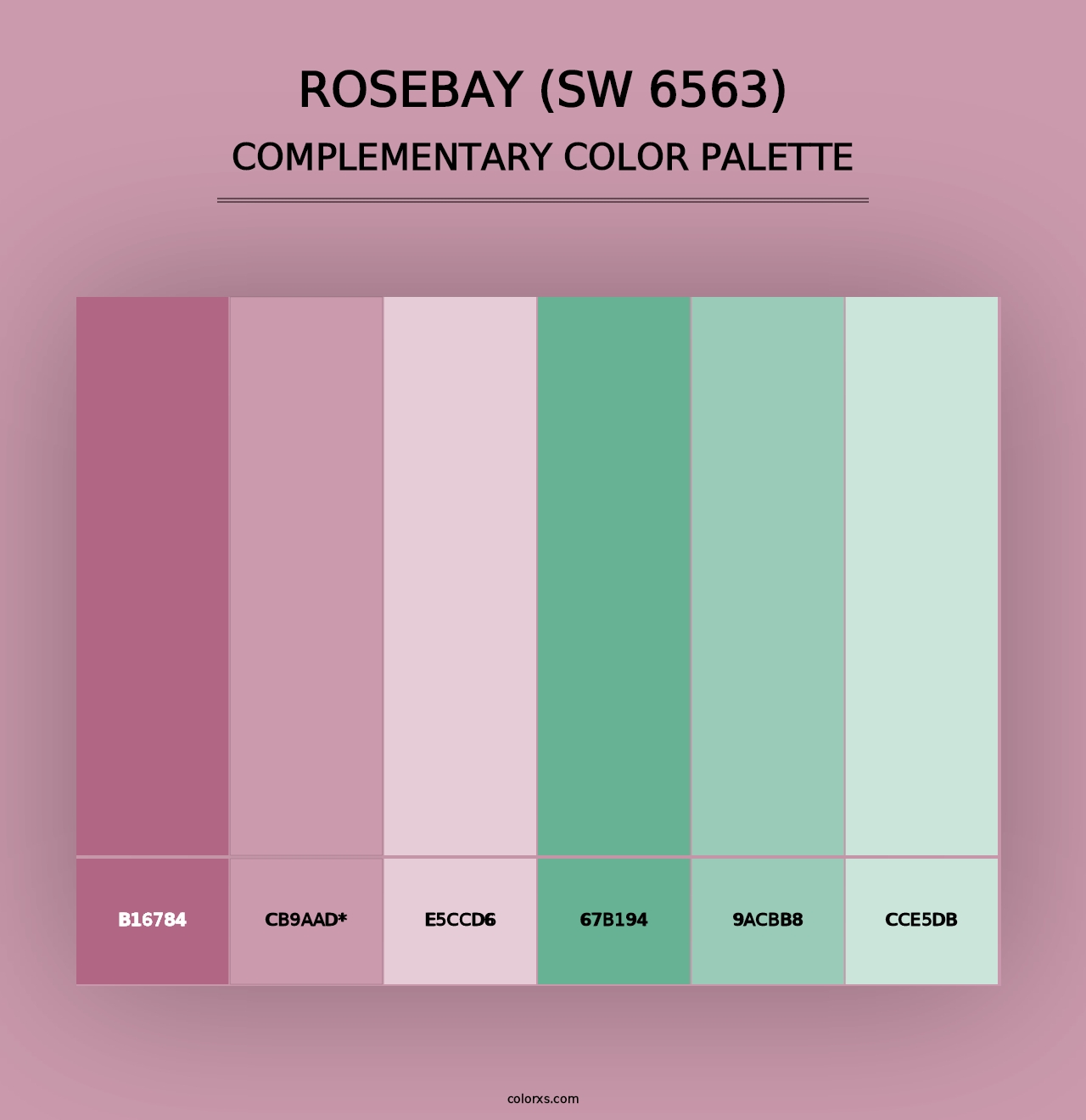 Rosebay (SW 6563) - Complementary Color Palette