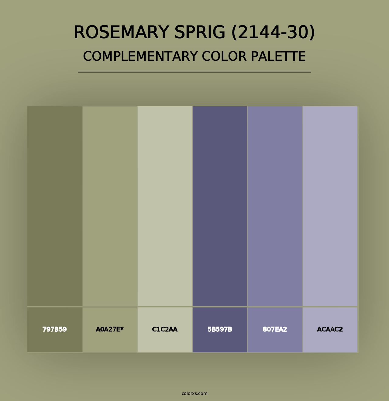 Rosemary Sprig (2144-30) - Complementary Color Palette