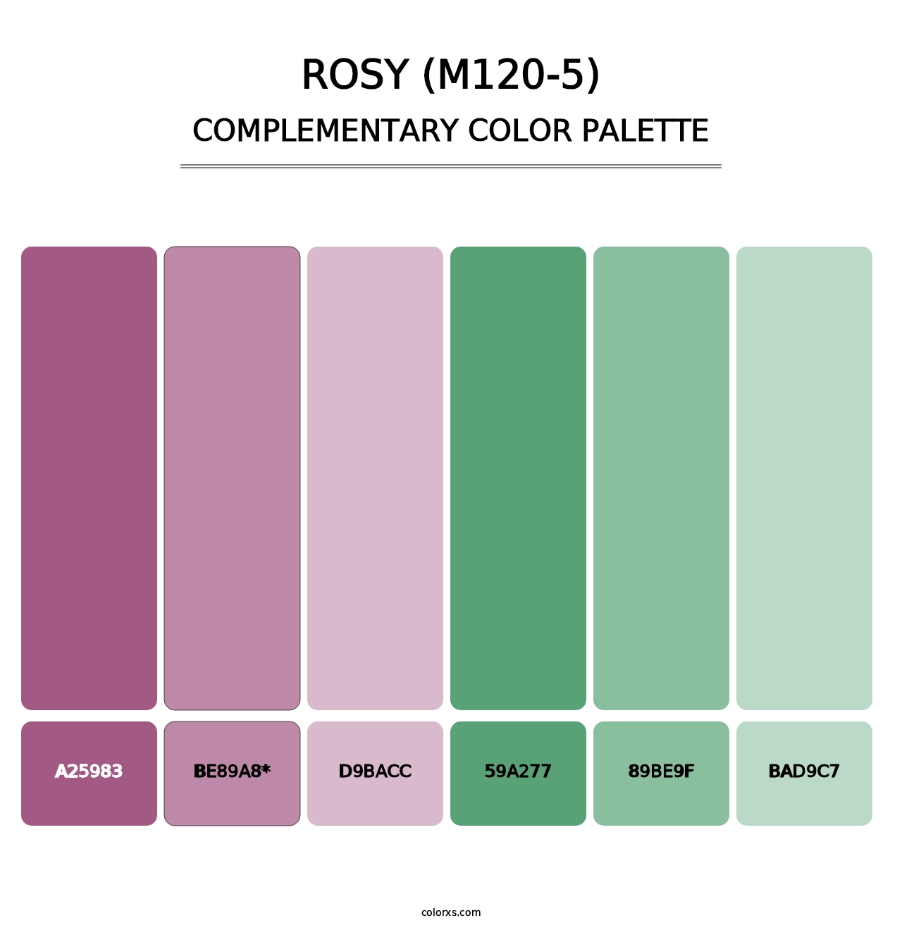 Rosy (M120-5) - Complementary Color Palette