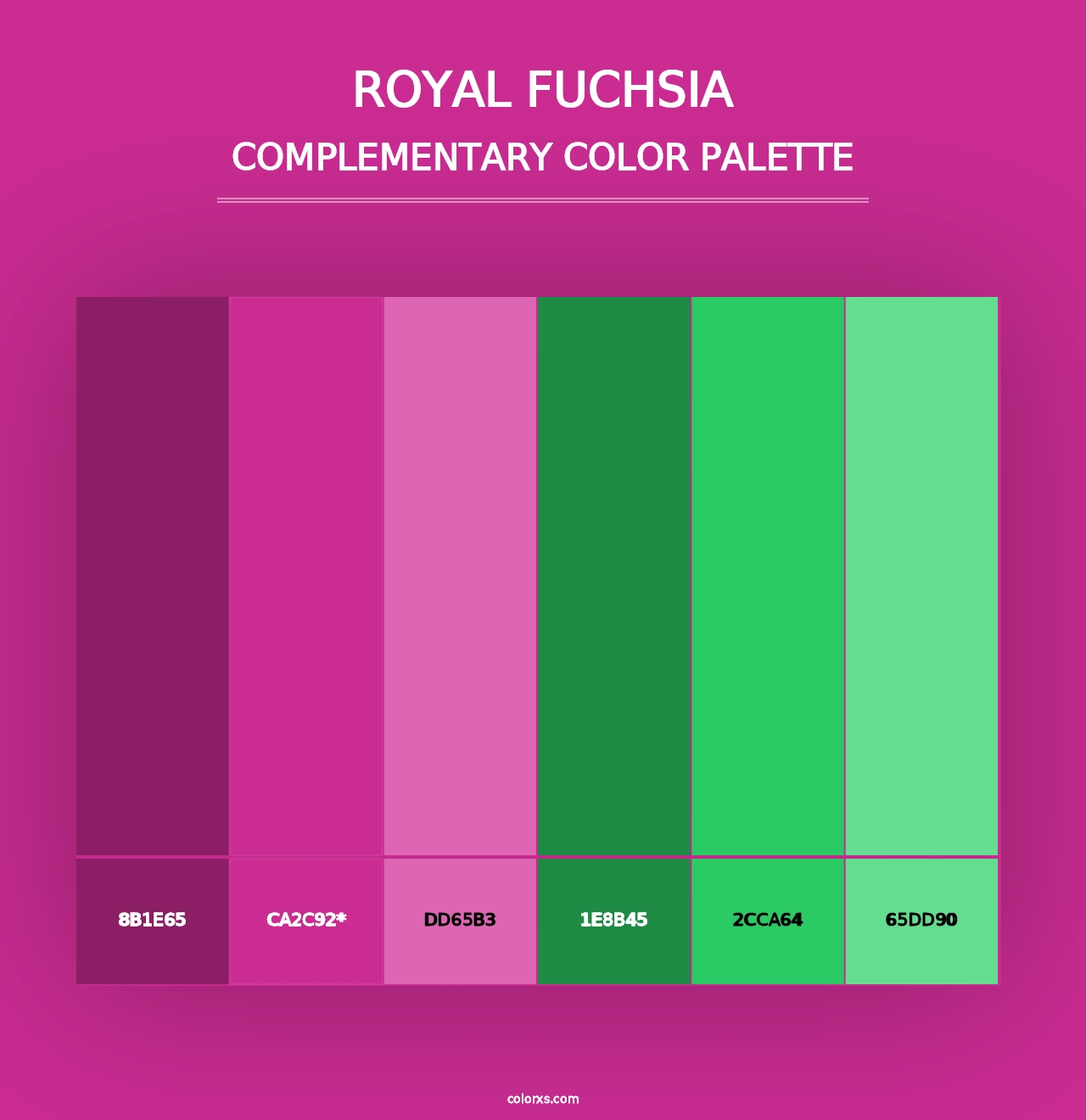 Royal Fuchsia - Complementary Color Palette