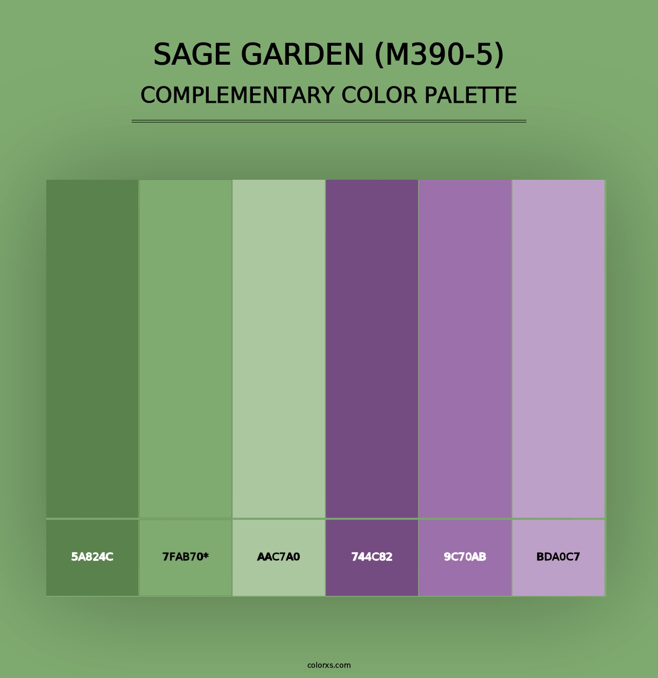 Sage Garden (M390-5) - Complementary Color Palette