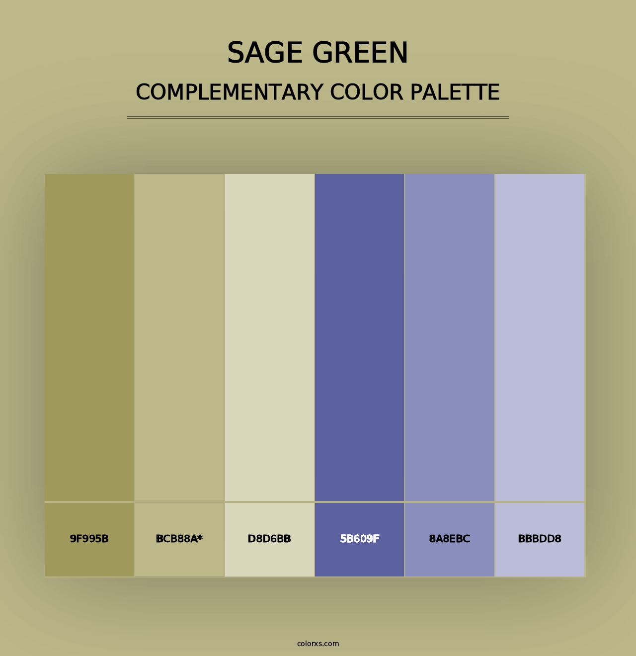 Sage Green - Complementary Color Palette