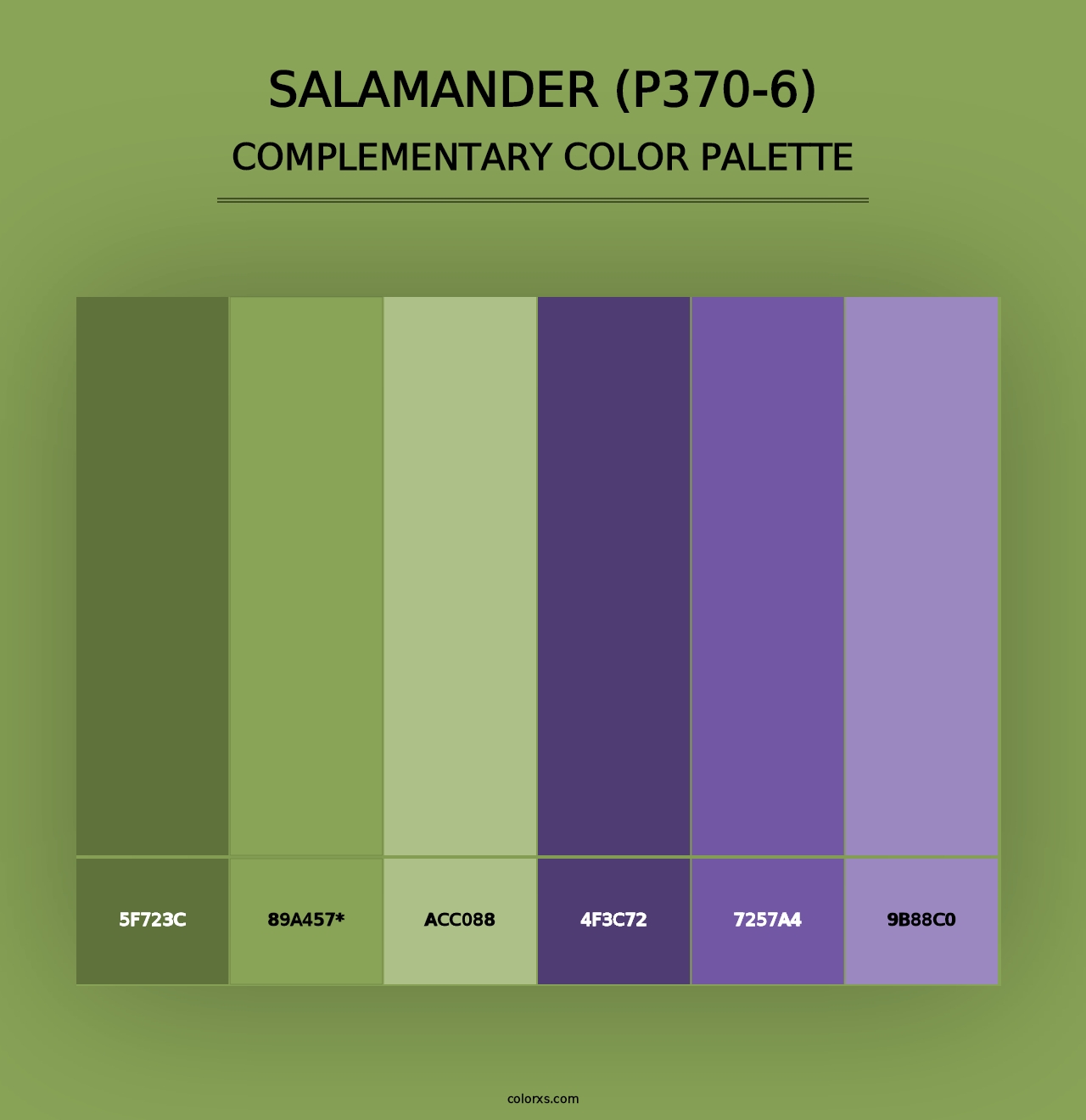 Salamander (P370-6) - Complementary Color Palette