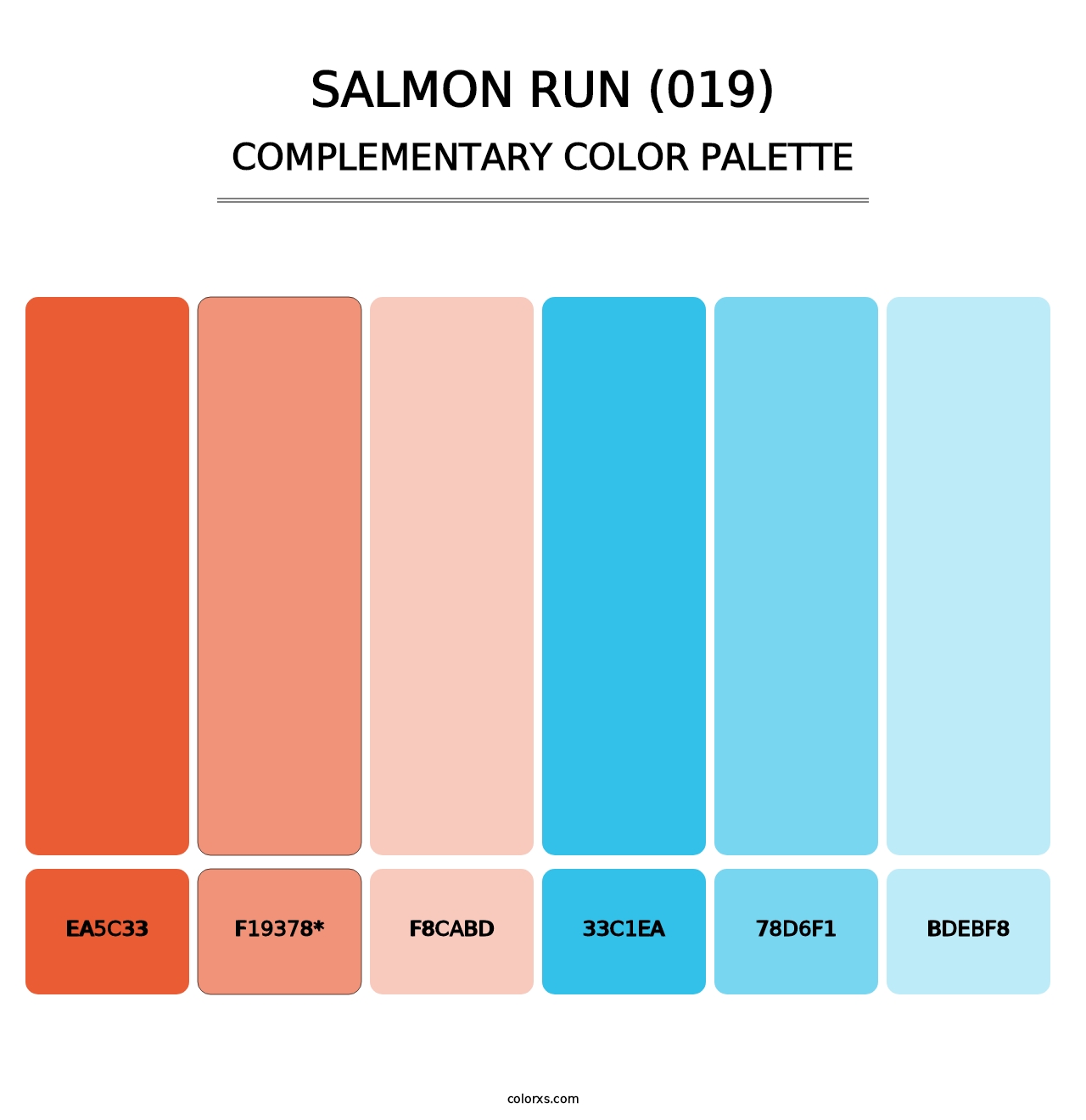 Salmon Run (019) - Complementary Color Palette