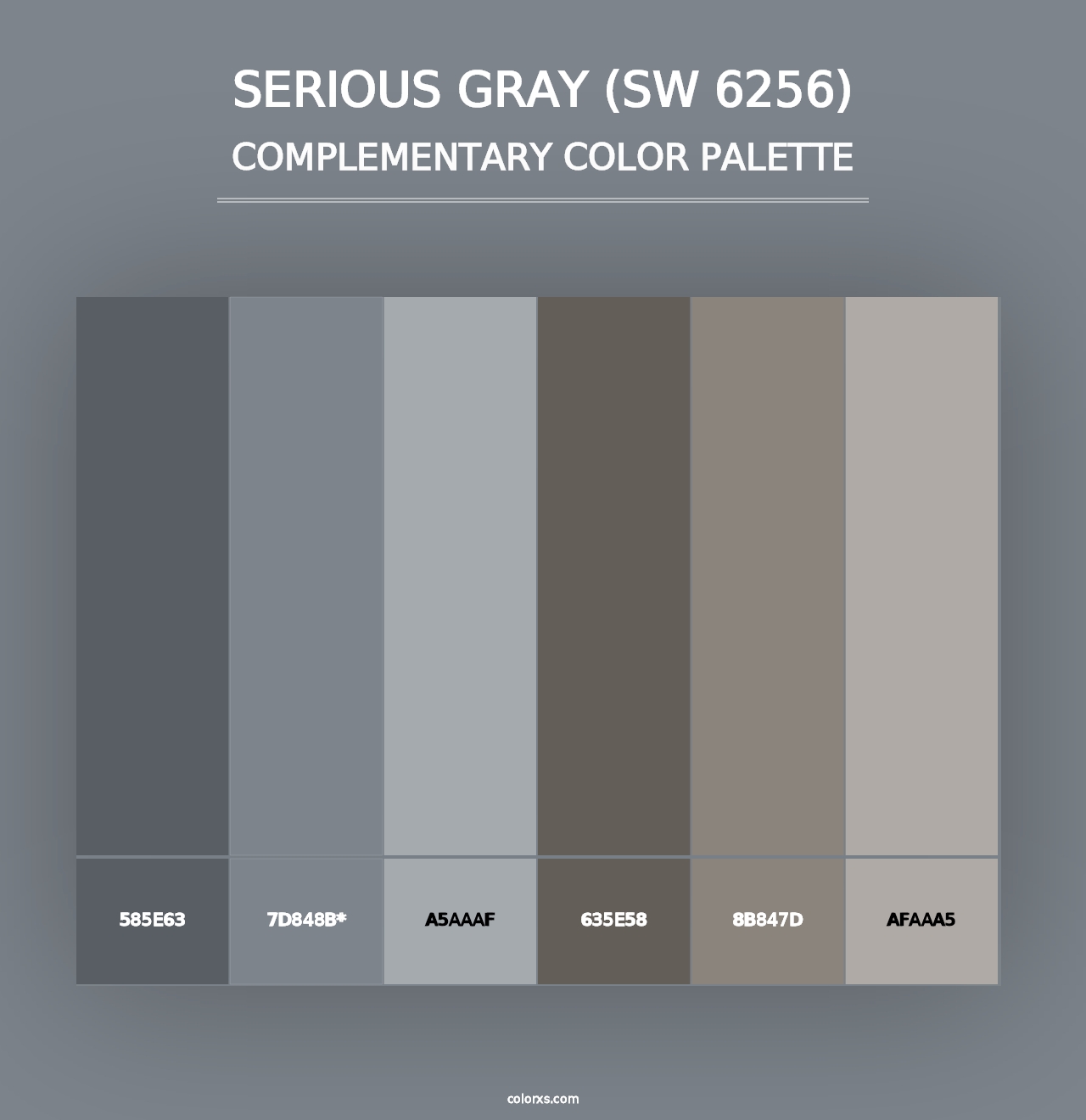 Serious Gray (SW 6256) - Complementary Color Palette