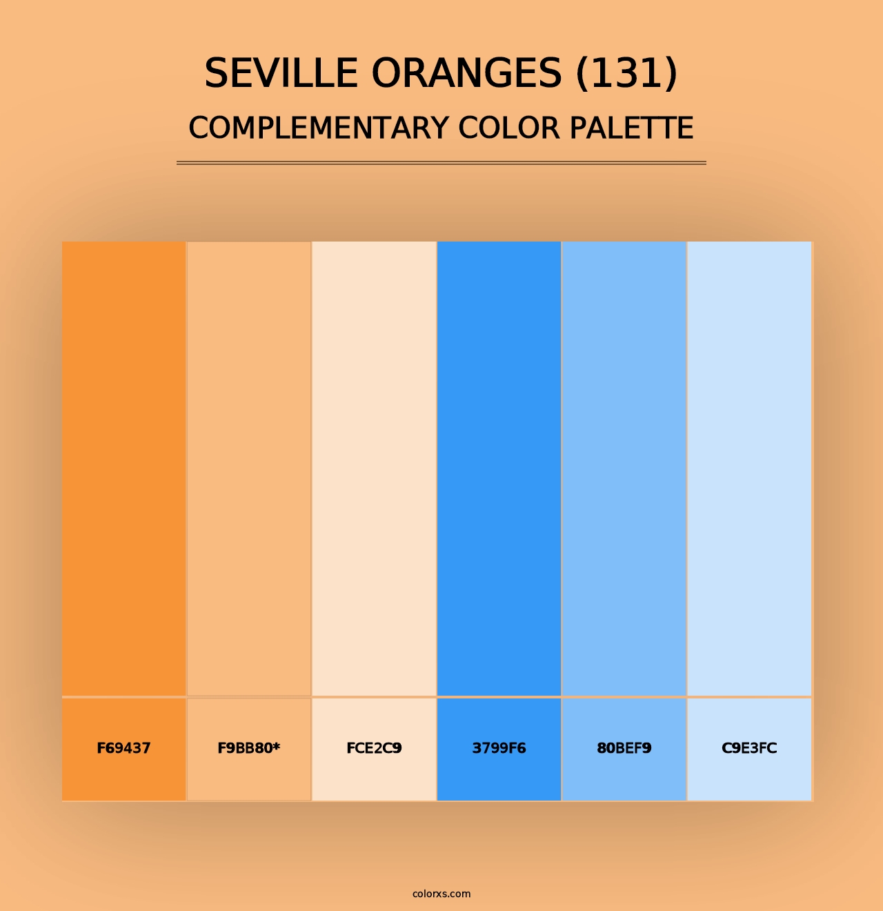 Seville Oranges (131) - Complementary Color Palette