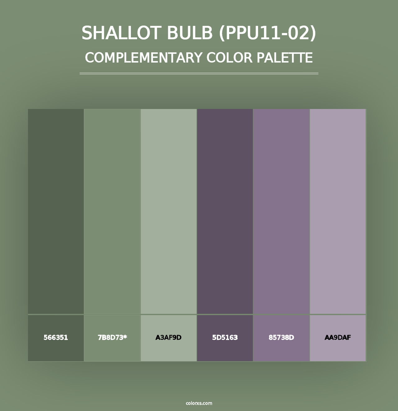 Shallot Bulb (PPU11-02) - Complementary Color Palette