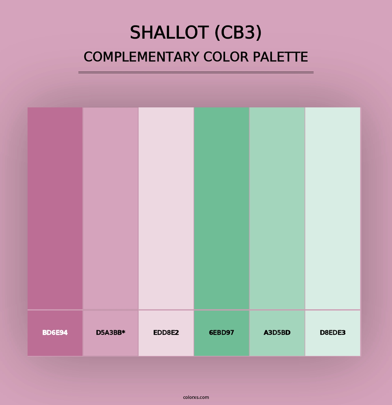 Shallot (CB3) - Complementary Color Palette