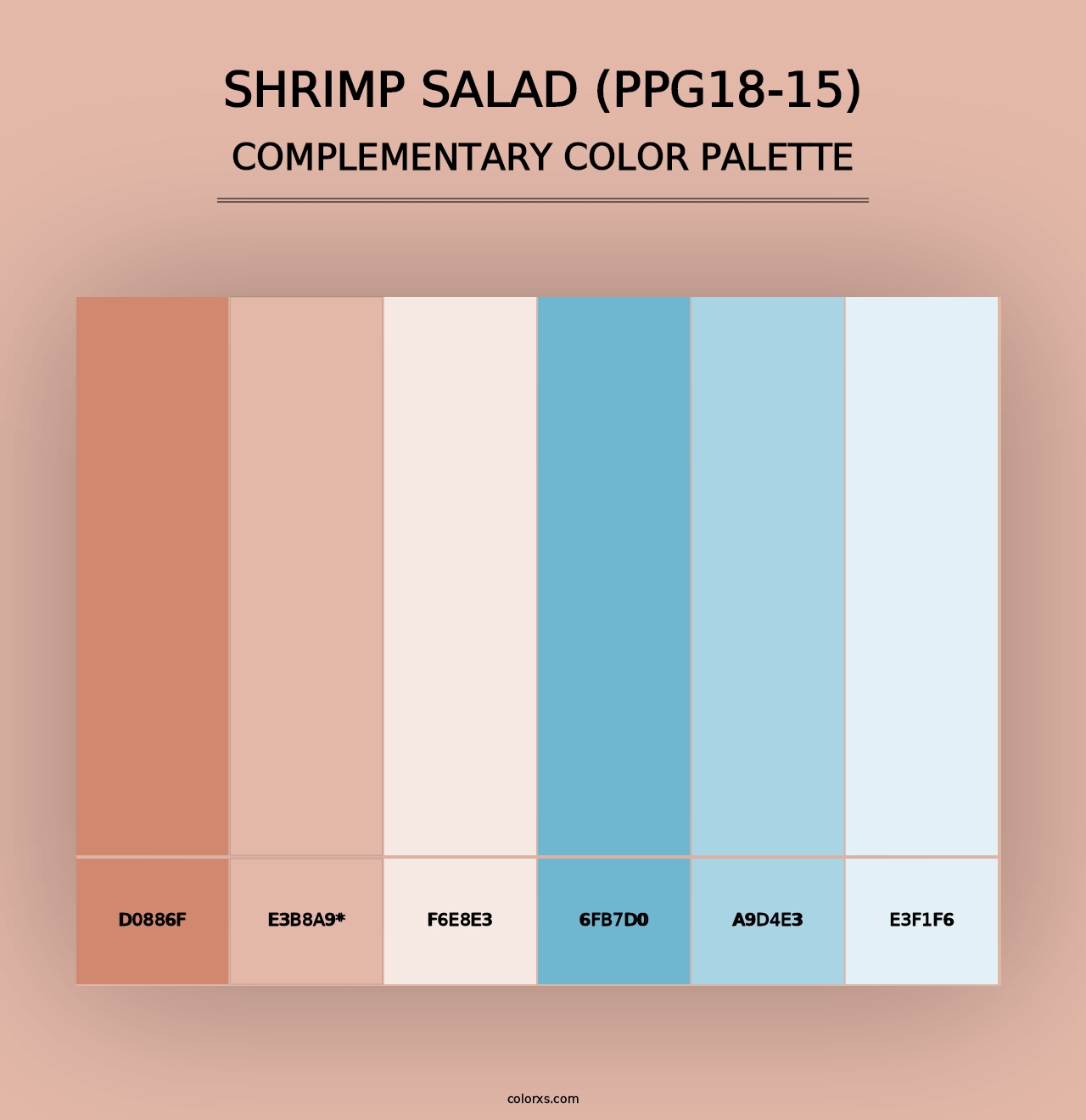 Shrimp Salad (PPG18-15) - Complementary Color Palette