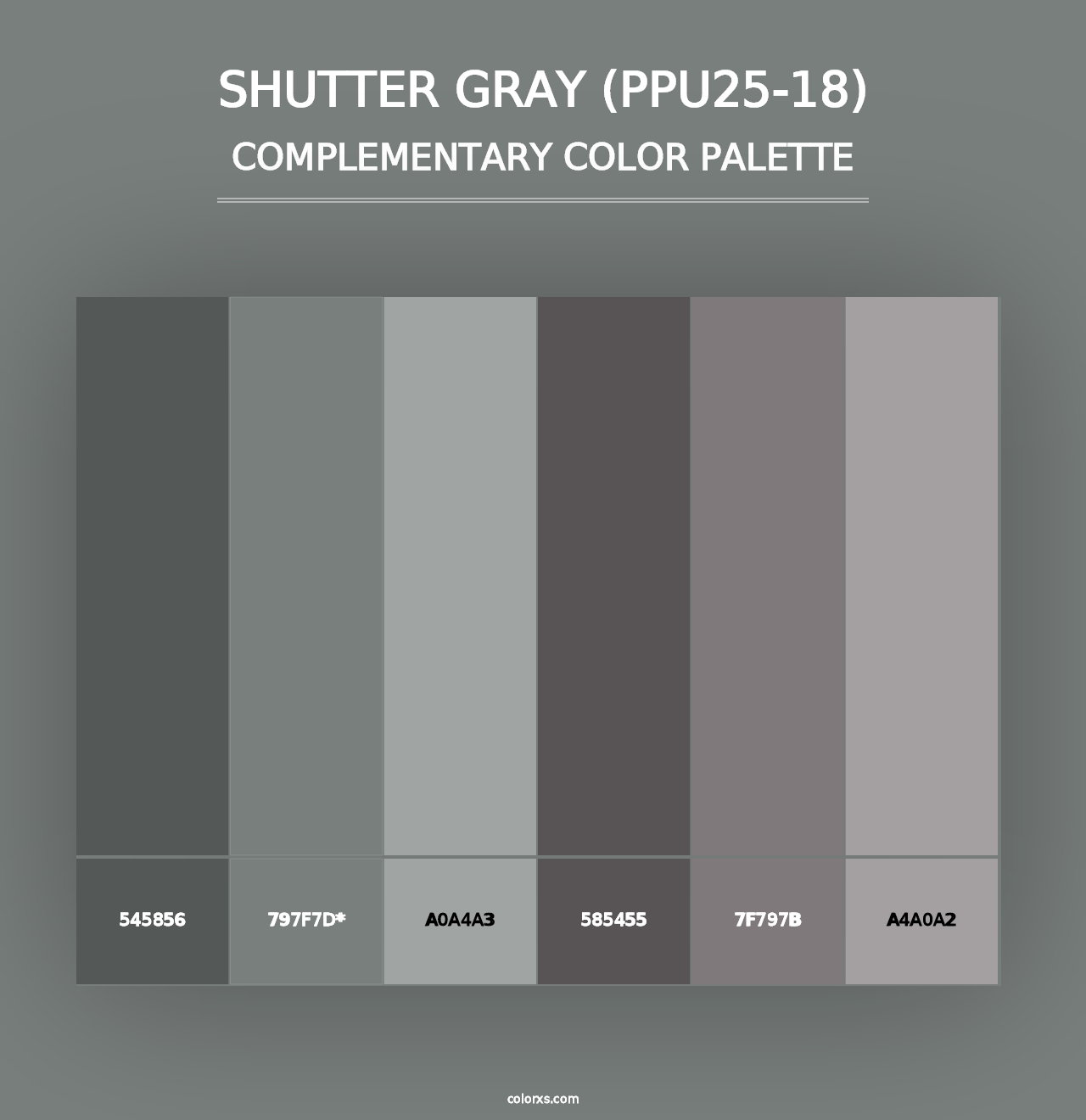 Shutter Gray (PPU25-18) - Complementary Color Palette