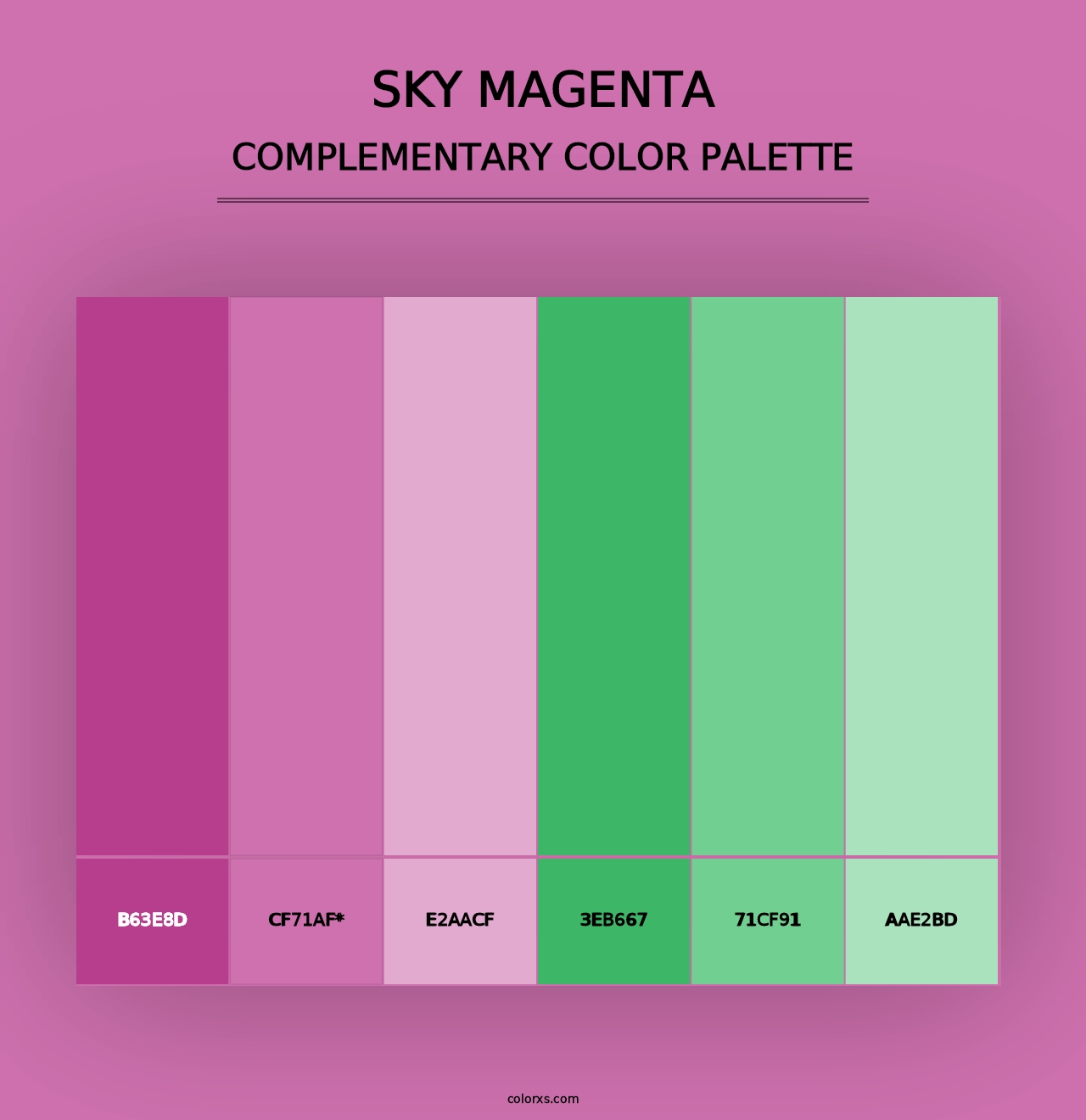 Sky Magenta - Complementary Color Palette