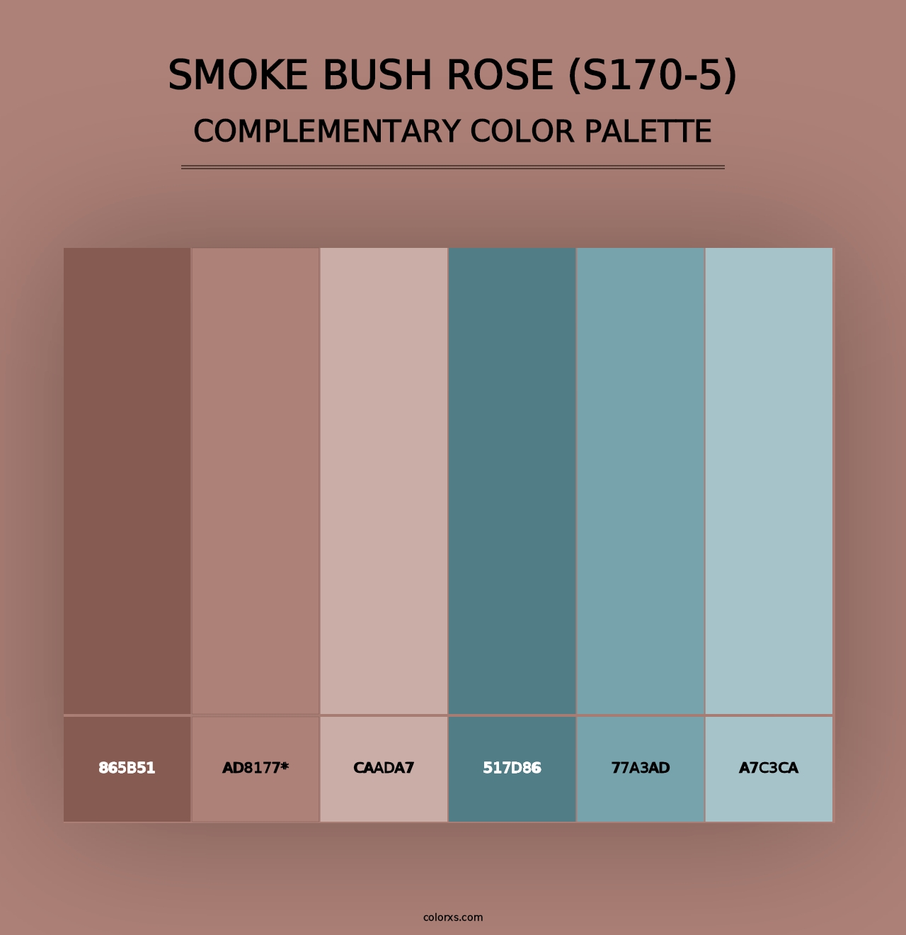 Smoke Bush Rose (S170-5) - Complementary Color Palette