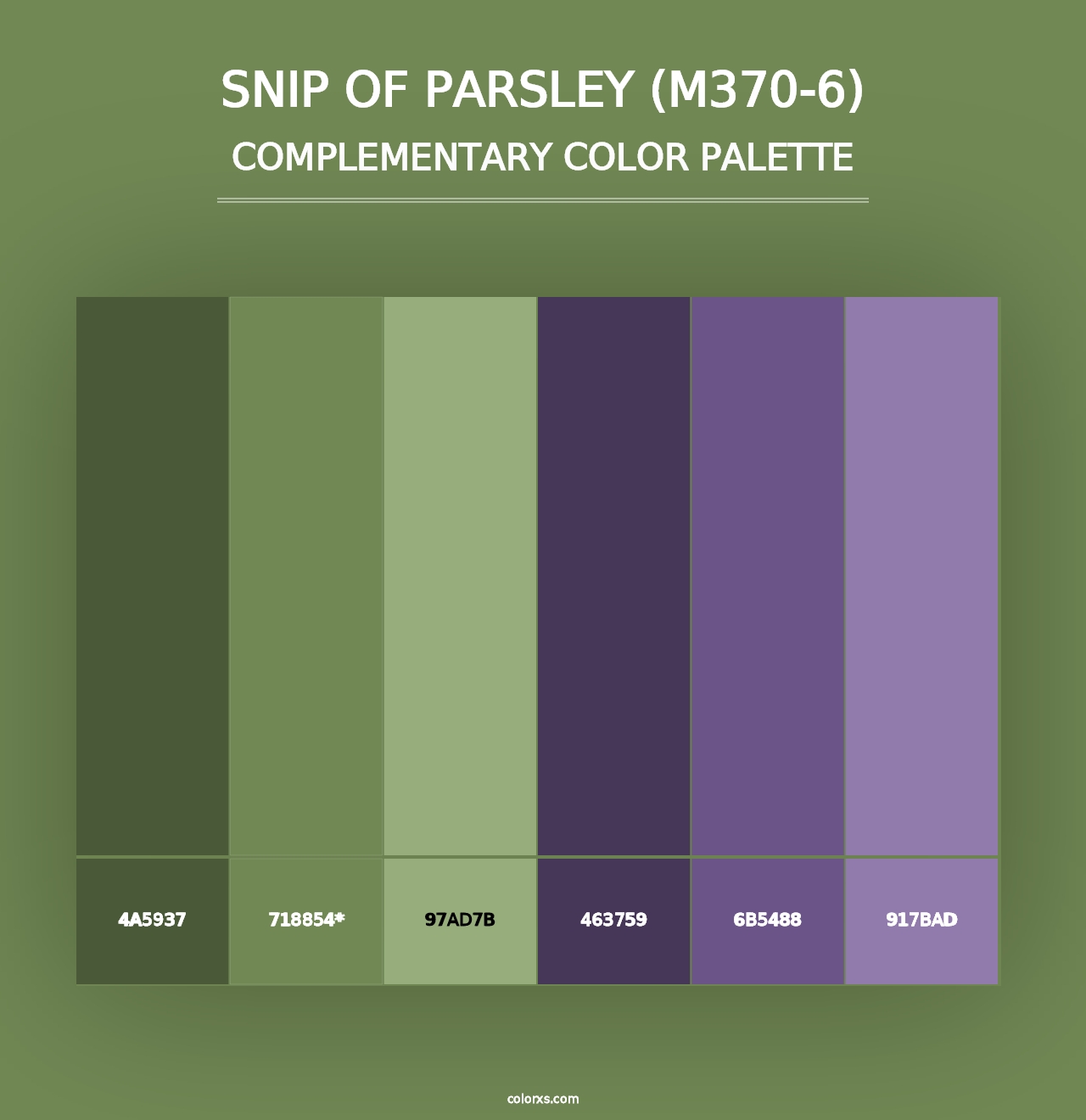 Snip Of Parsley (M370-6) - Complementary Color Palette