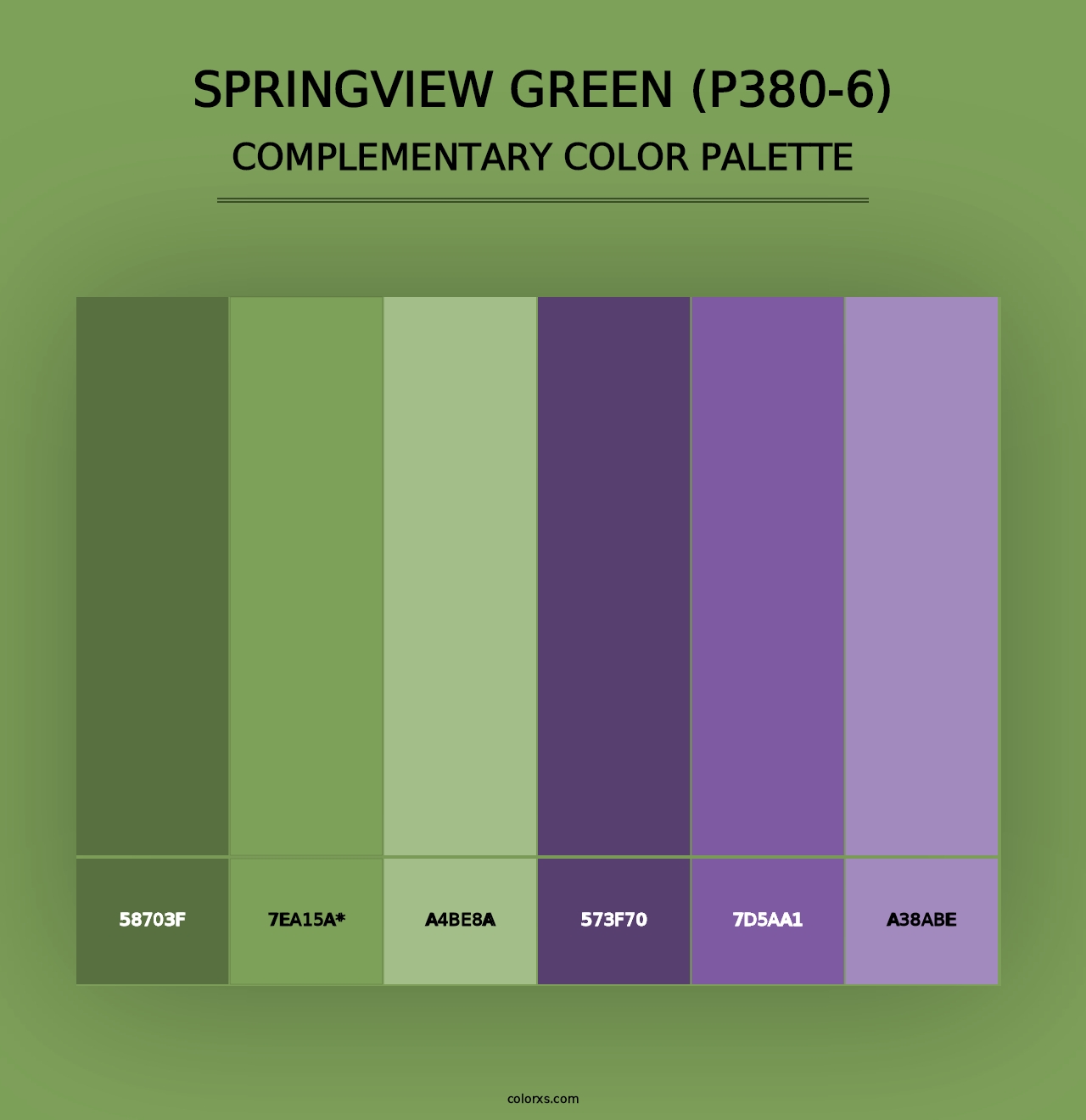 Springview Green (P380-6) - Complementary Color Palette