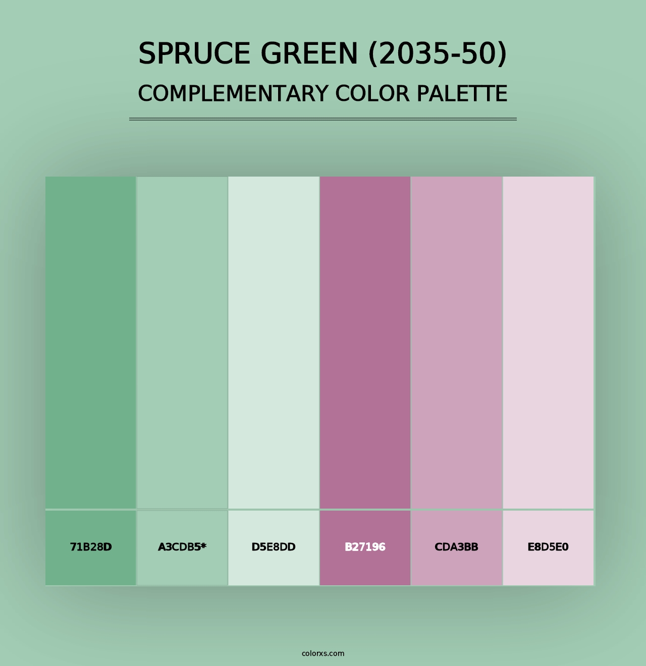 Spruce Green (2035-50) - Complementary Color Palette