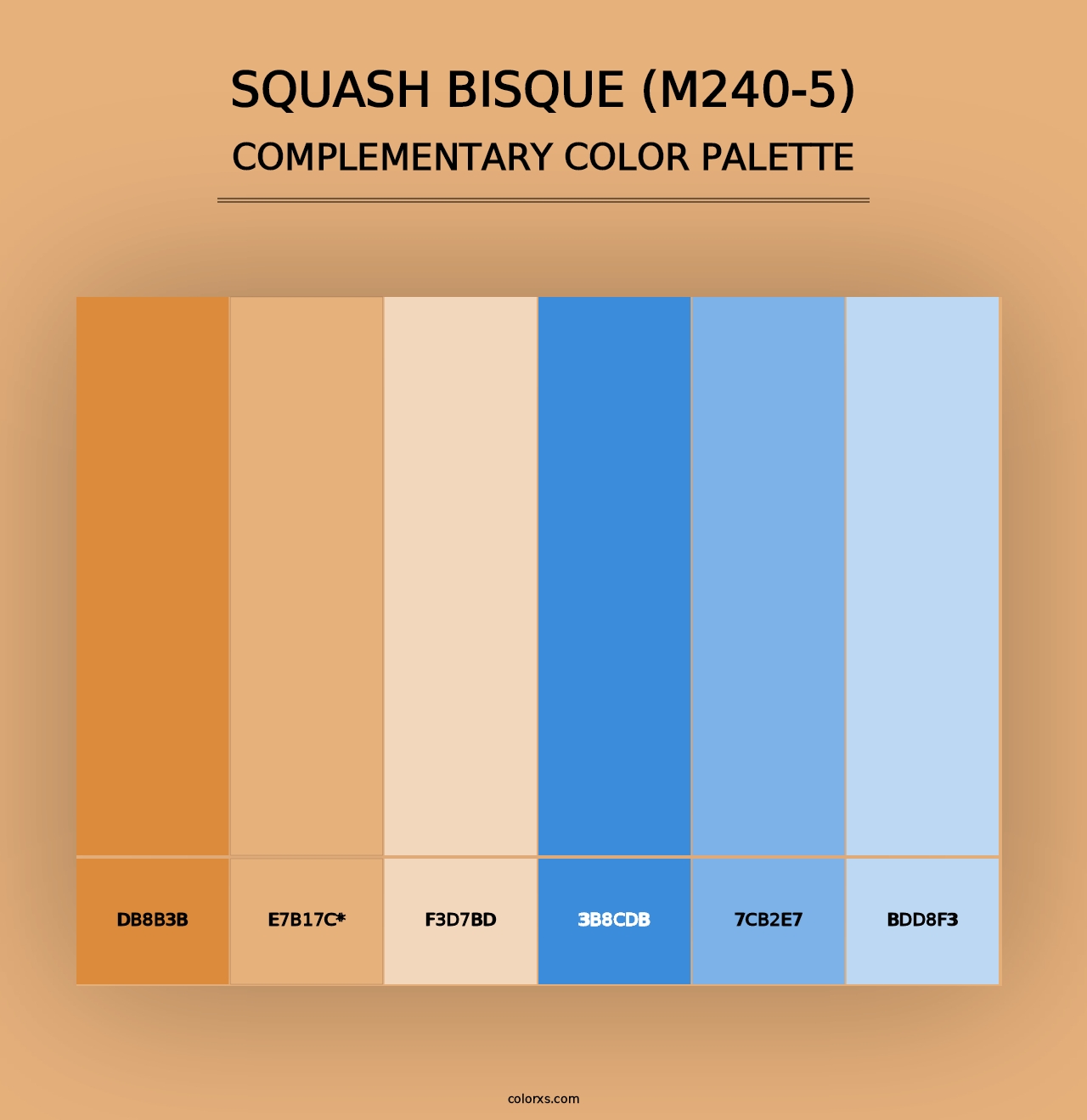 Squash Bisque (M240-5) - Complementary Color Palette