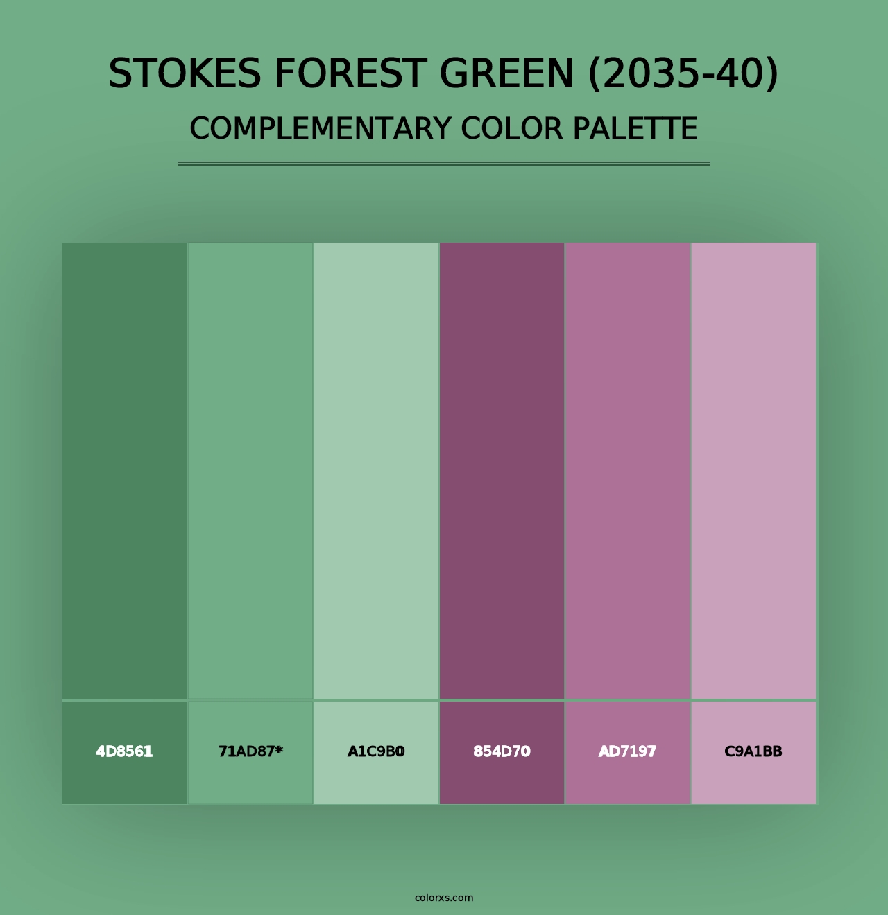 Stokes Forest Green (2035-40) - Complementary Color Palette