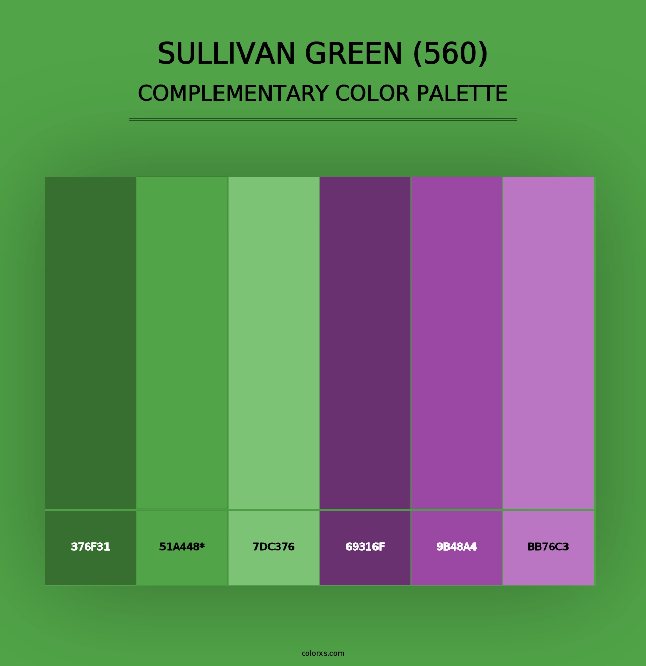 Sullivan Green (560) - Complementary Color Palette