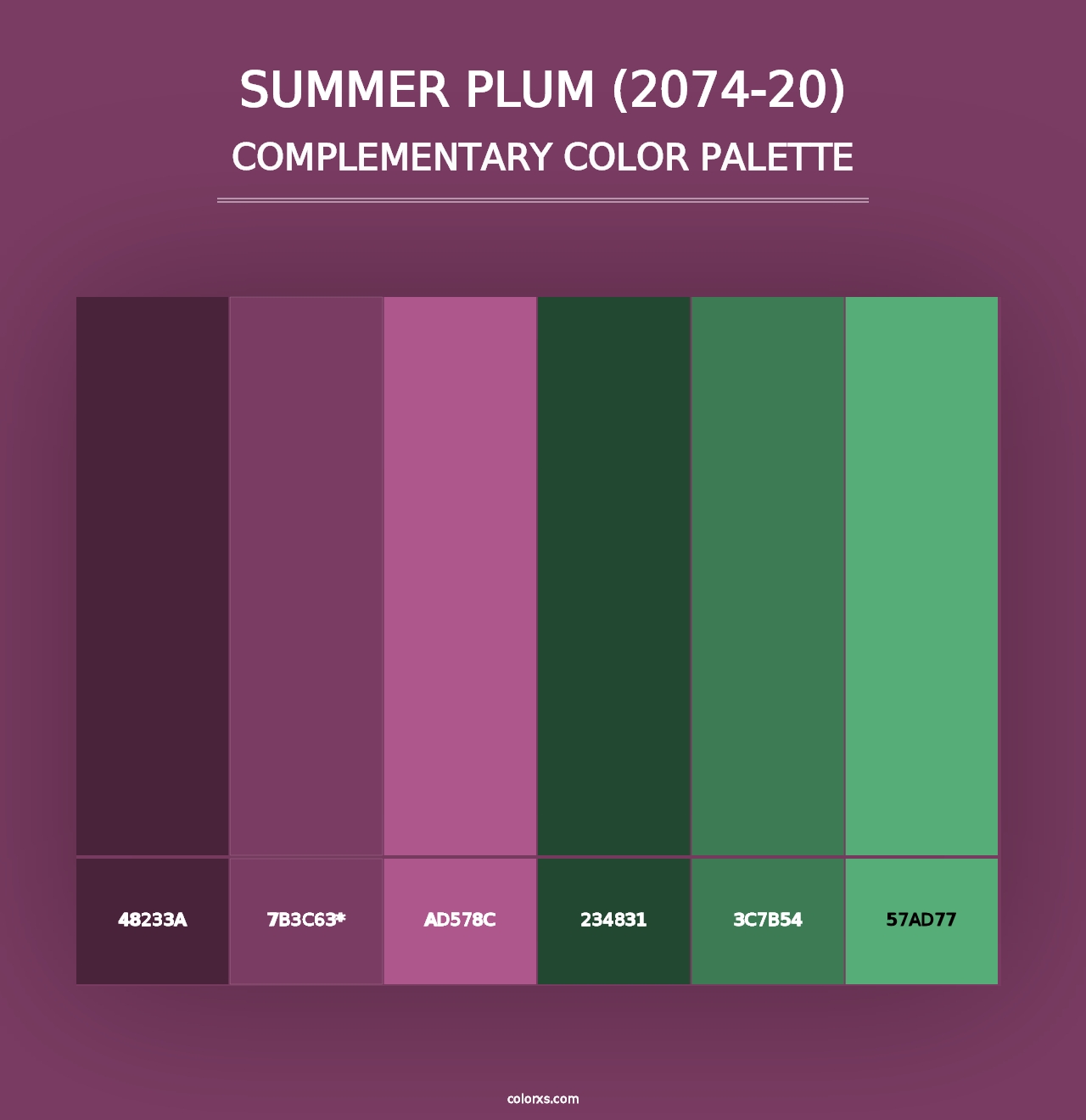 Summer Plum (2074-20) - Complementary Color Palette