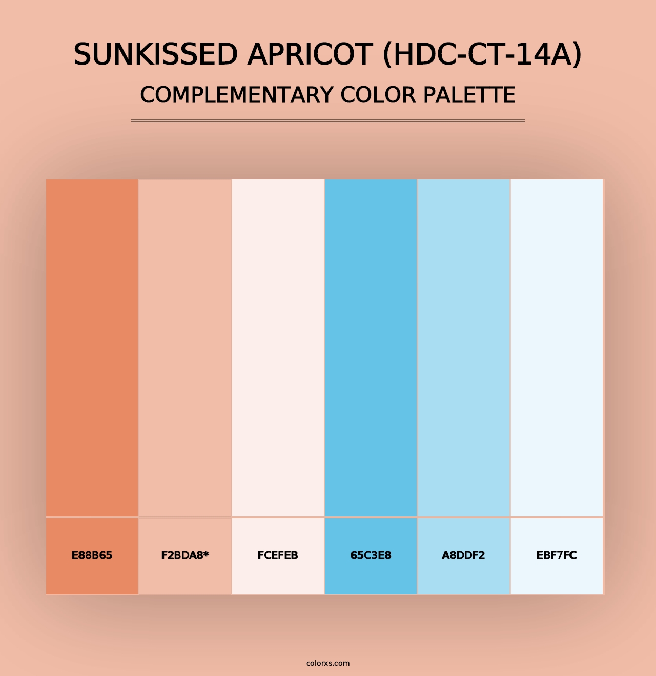 Sunkissed Apricot (HDC-CT-14A) - Complementary Color Palette