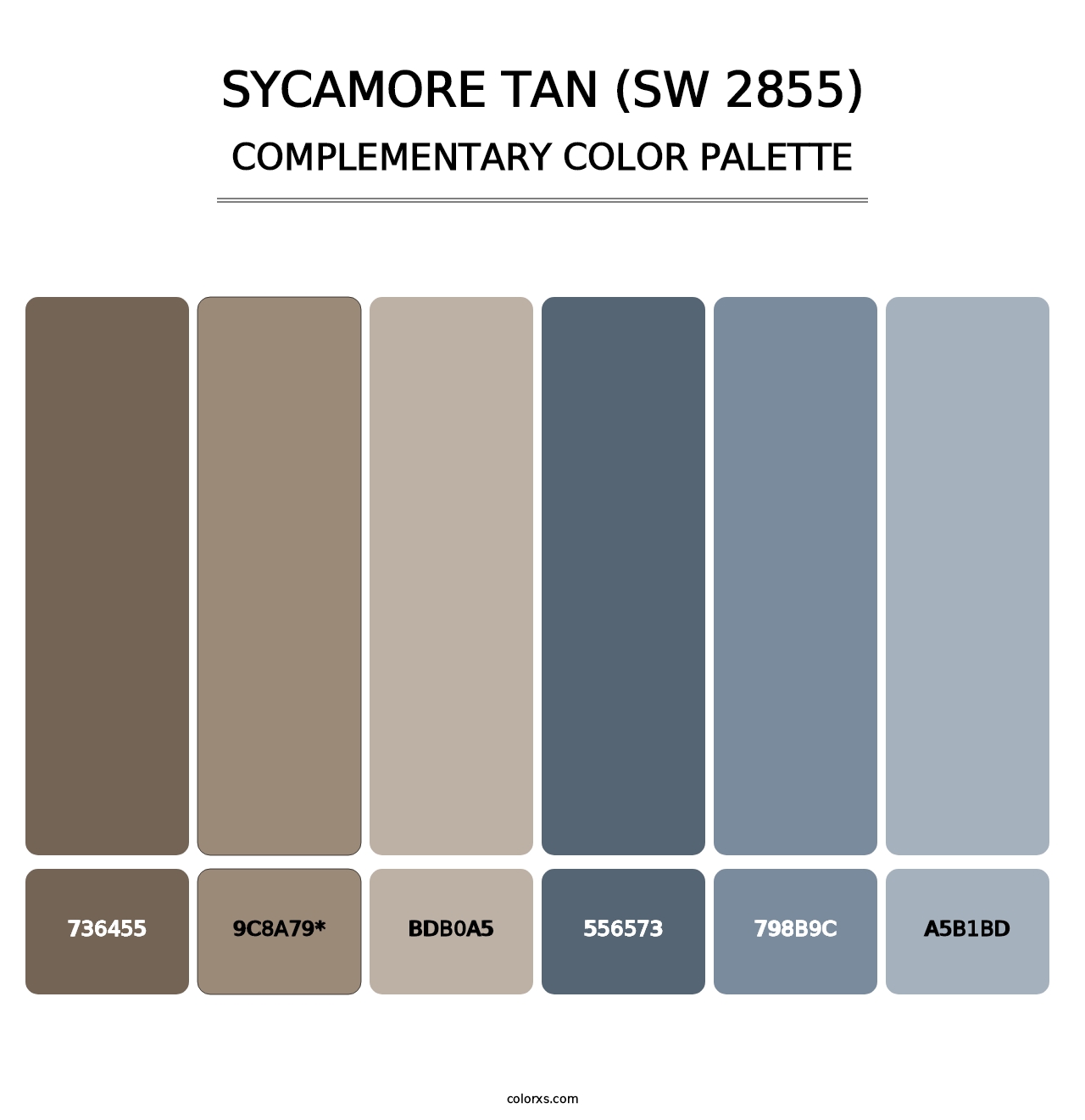 Sycamore Tan (SW 2855) - Complementary Color Palette