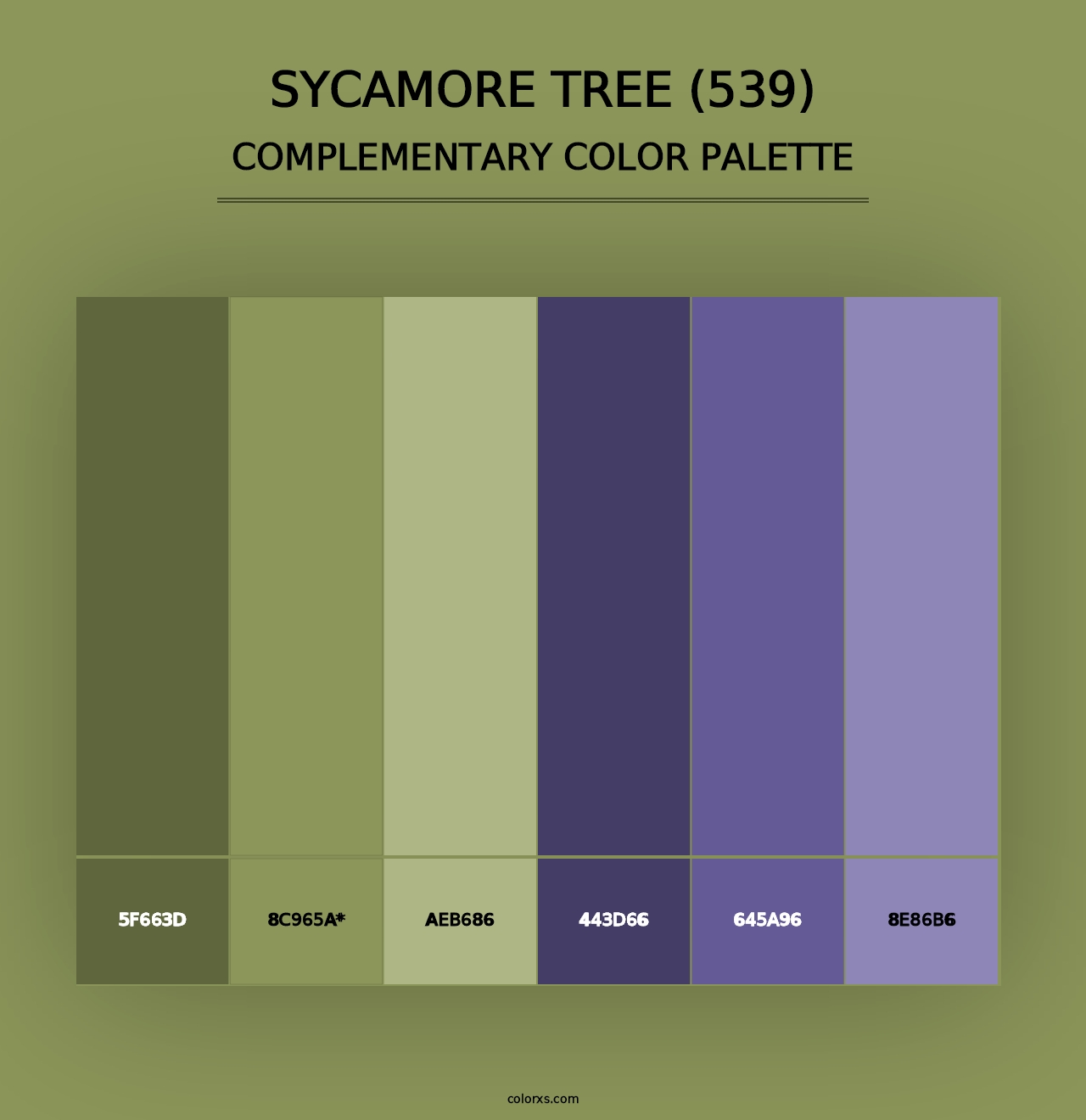 Sycamore Tree (539) - Complementary Color Palette