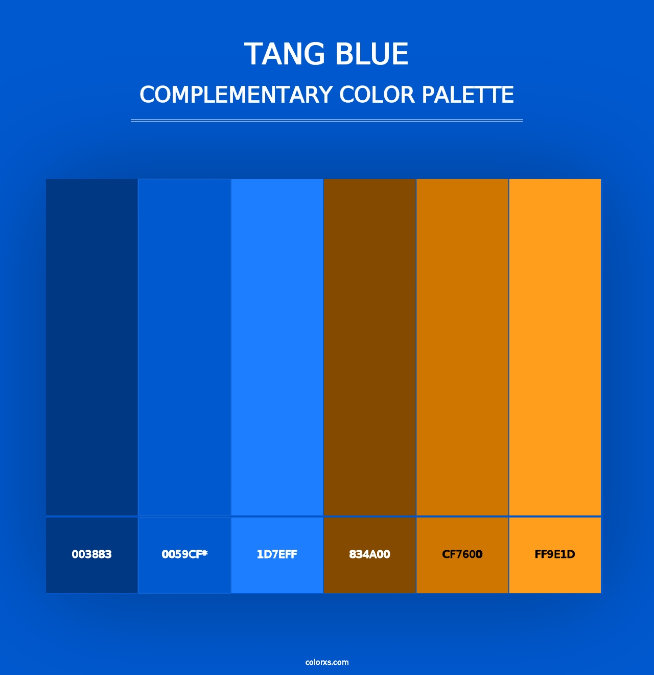 Tang Blue - Complementary Color Palette