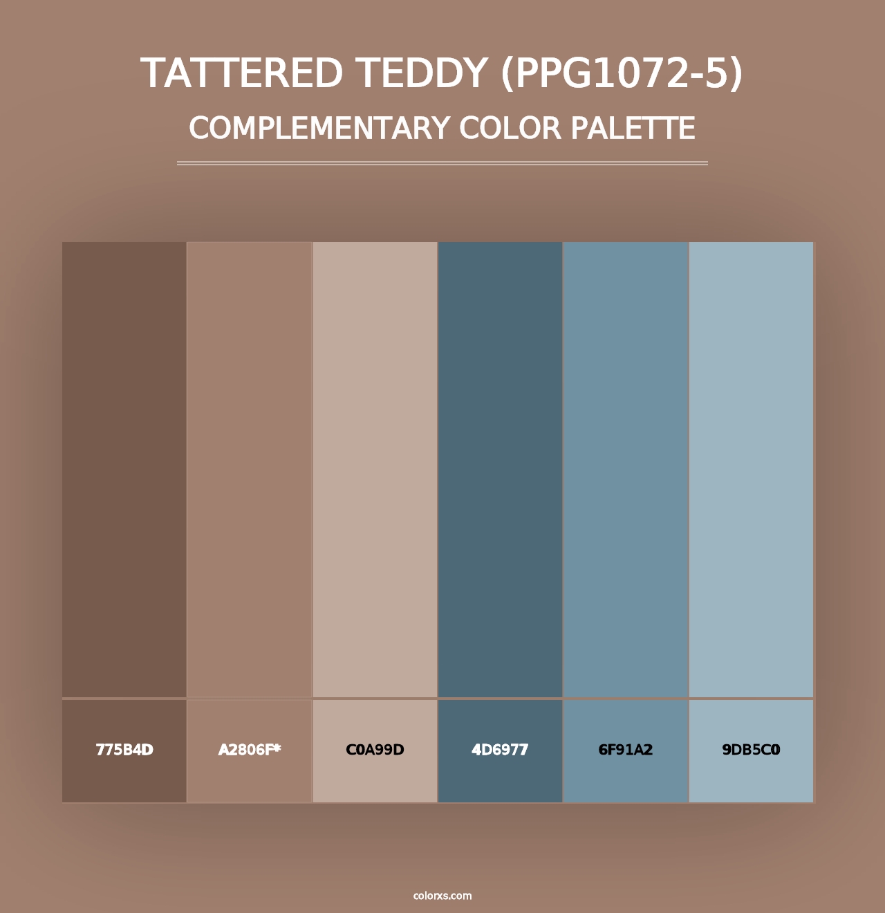 Tattered Teddy (PPG1072-5) - Complementary Color Palette