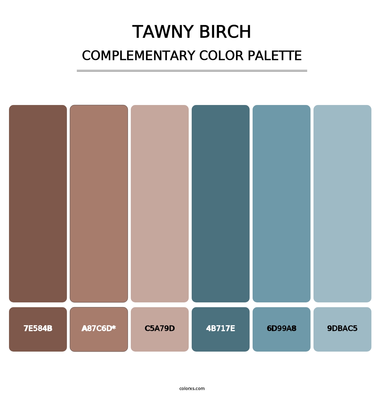 Tawny Birch - Complementary Color Palette