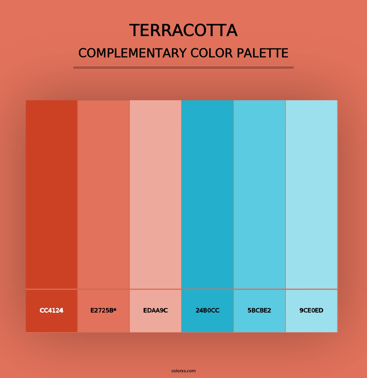 Terracotta - Complementary Color Palette