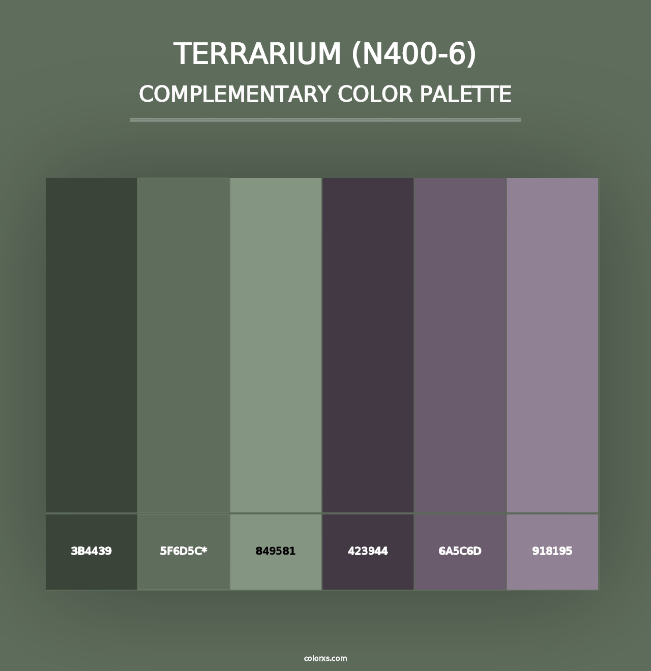 Terrarium (N400-6) - Complementary Color Palette