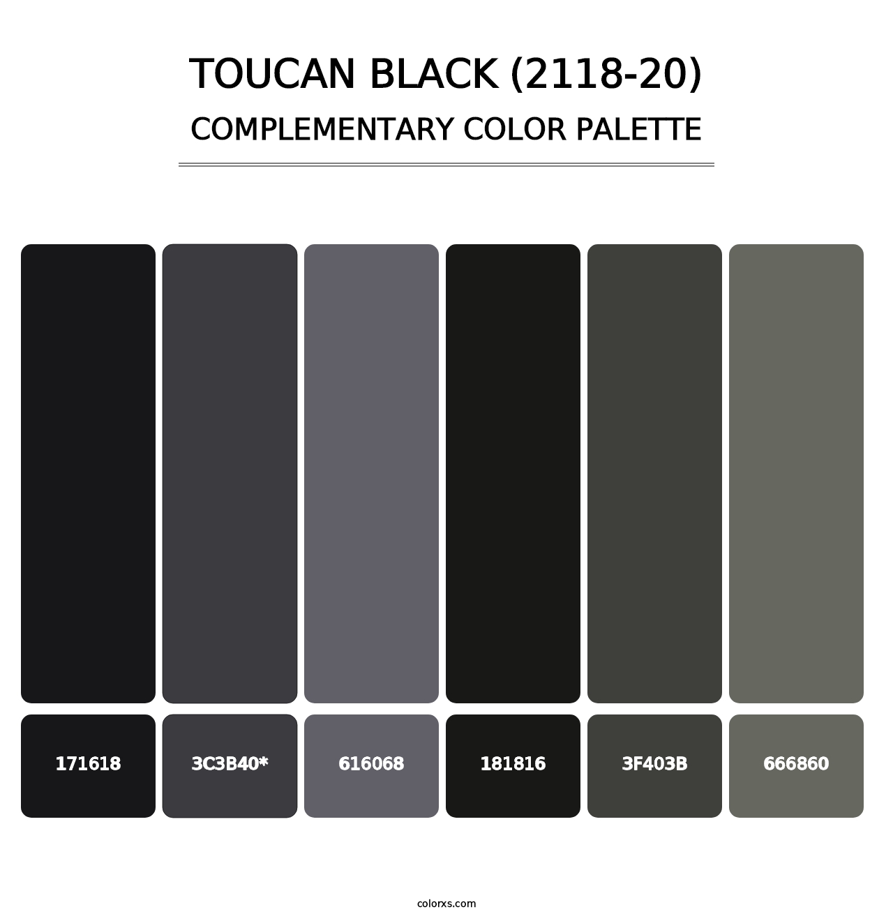 Toucan Black (2118-20) - Complementary Color Palette