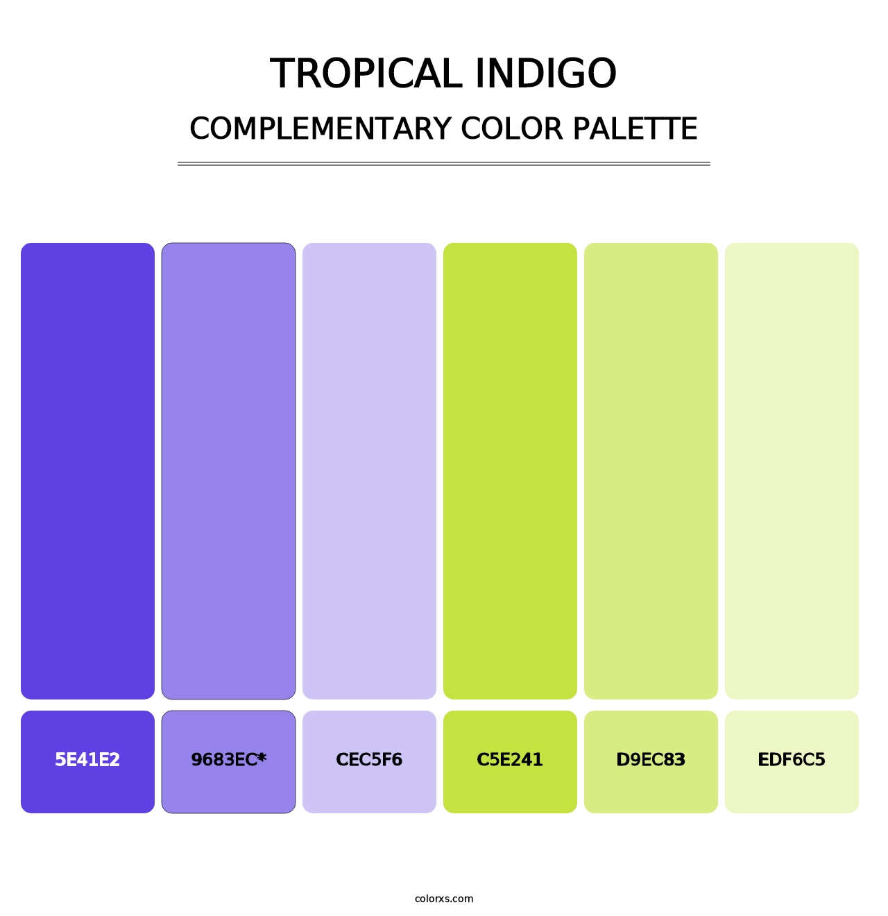 Tropical Indigo - Complementary Color Palette