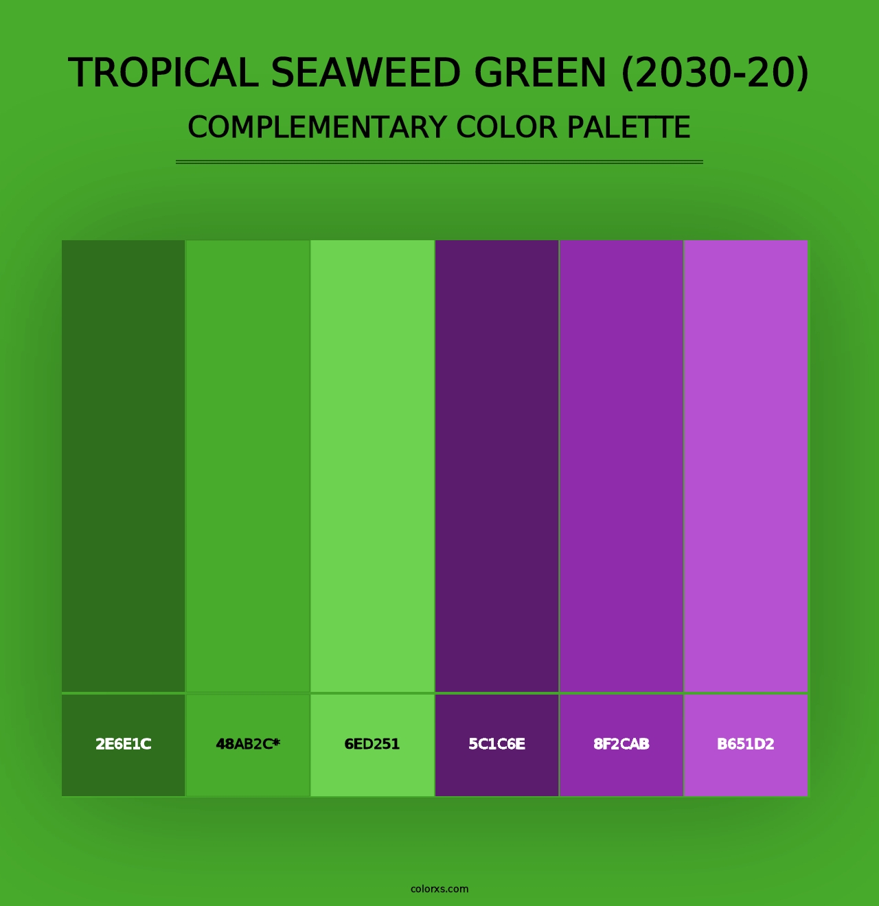 Tropical Seaweed Green (2030-20) - Complementary Color Palette