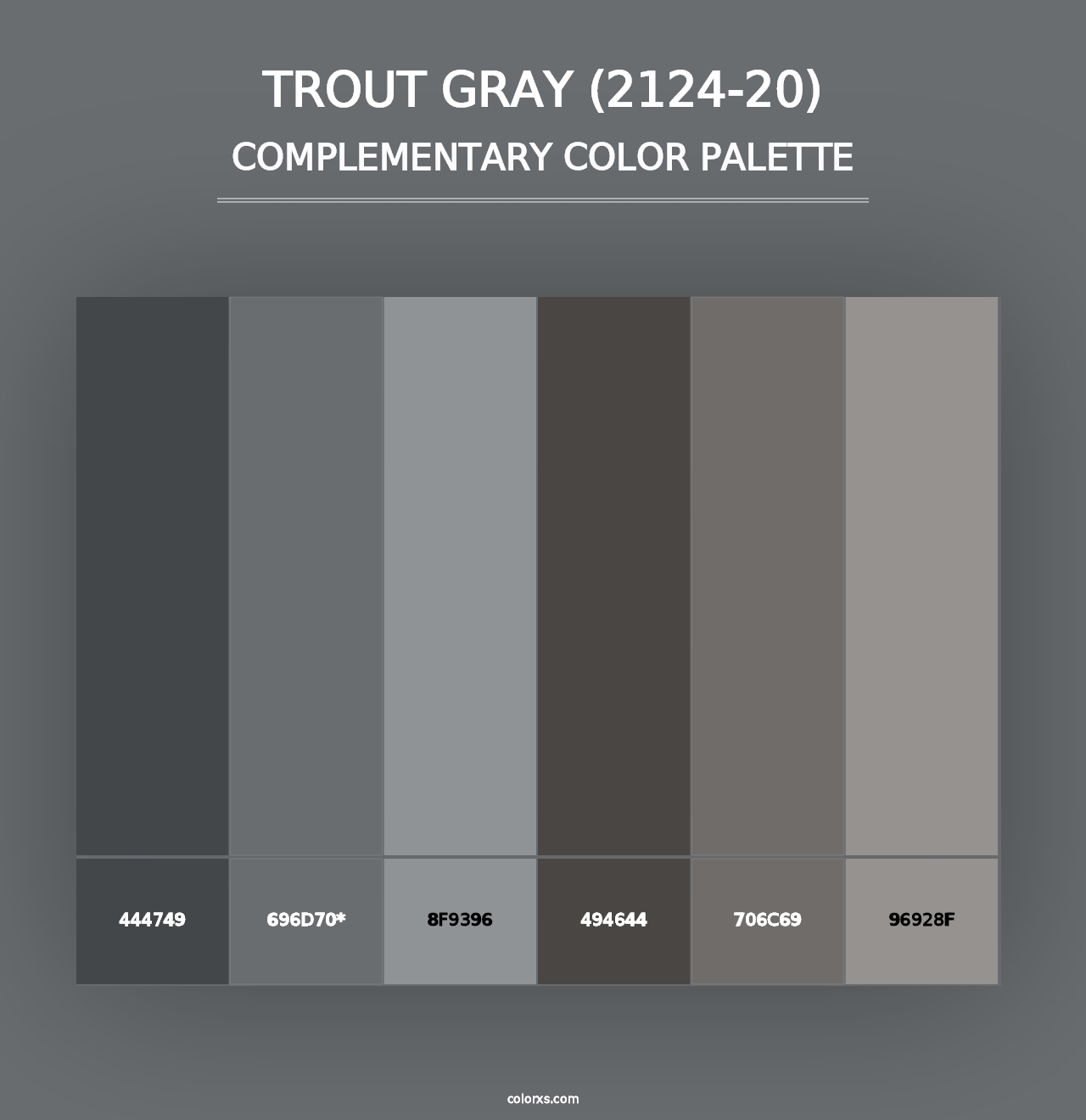 Trout Gray (2124-20) - Complementary Color Palette