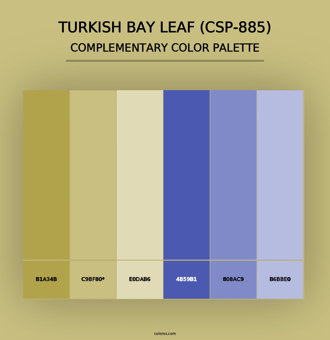 Turkish Bay Leaf (CSP-885) - Complementary Color Palette