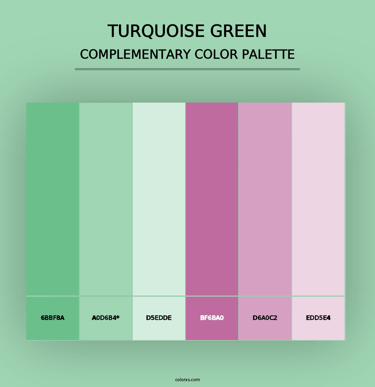 Turquoise Green - Complementary Color Palette