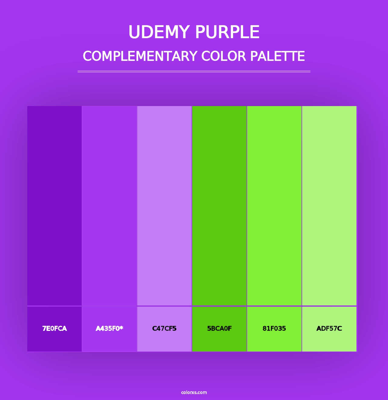 Udemy Purple - Complementary Color Palette