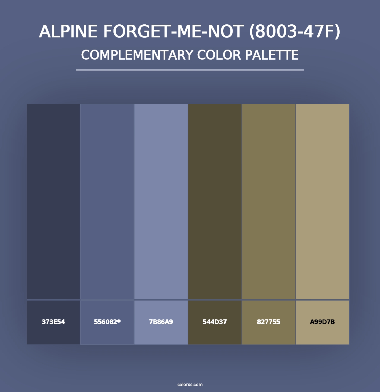 Alpine Forget-Me-Not (8003-47F) - Complementary Color Palette