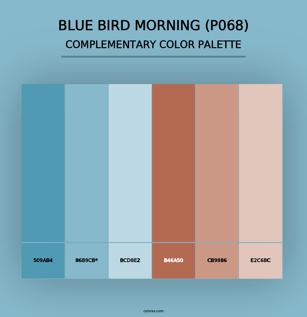 Blue Bird Morning (P068) - Complementary Color Palette