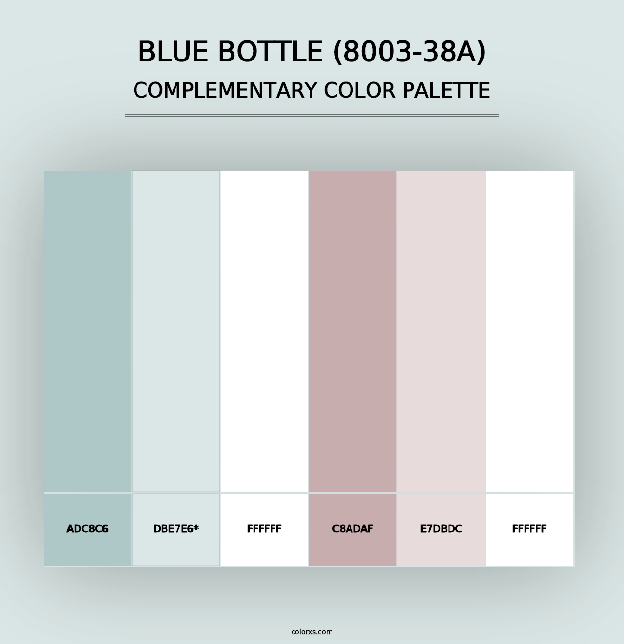 Blue Bottle (8003-38A) - Complementary Color Palette