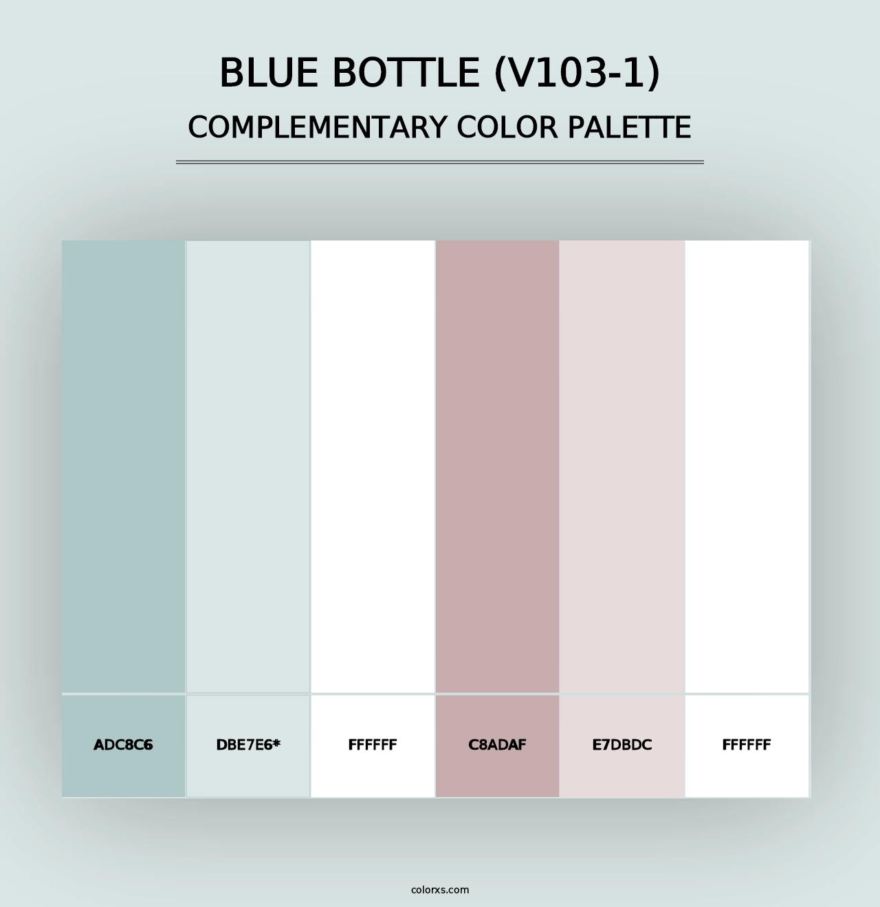 Blue Bottle (V103-1) - Complementary Color Palette