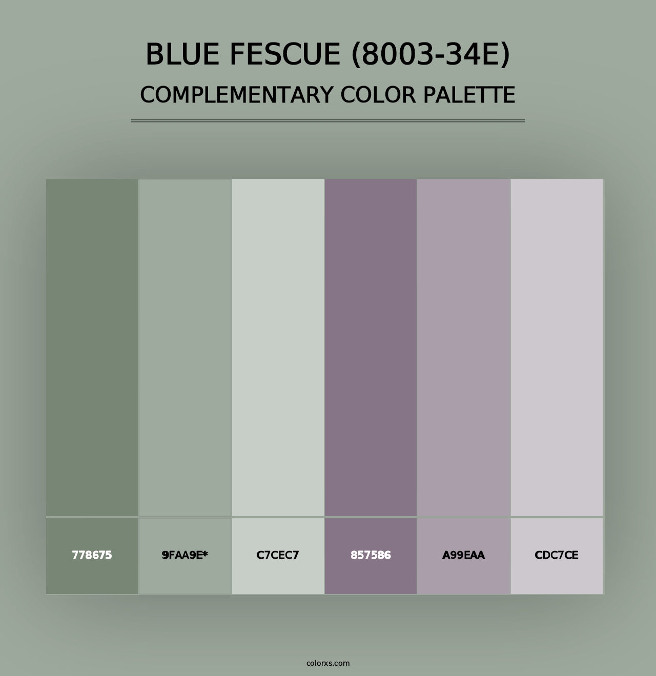 Blue Fescue (8003-34E) - Complementary Color Palette