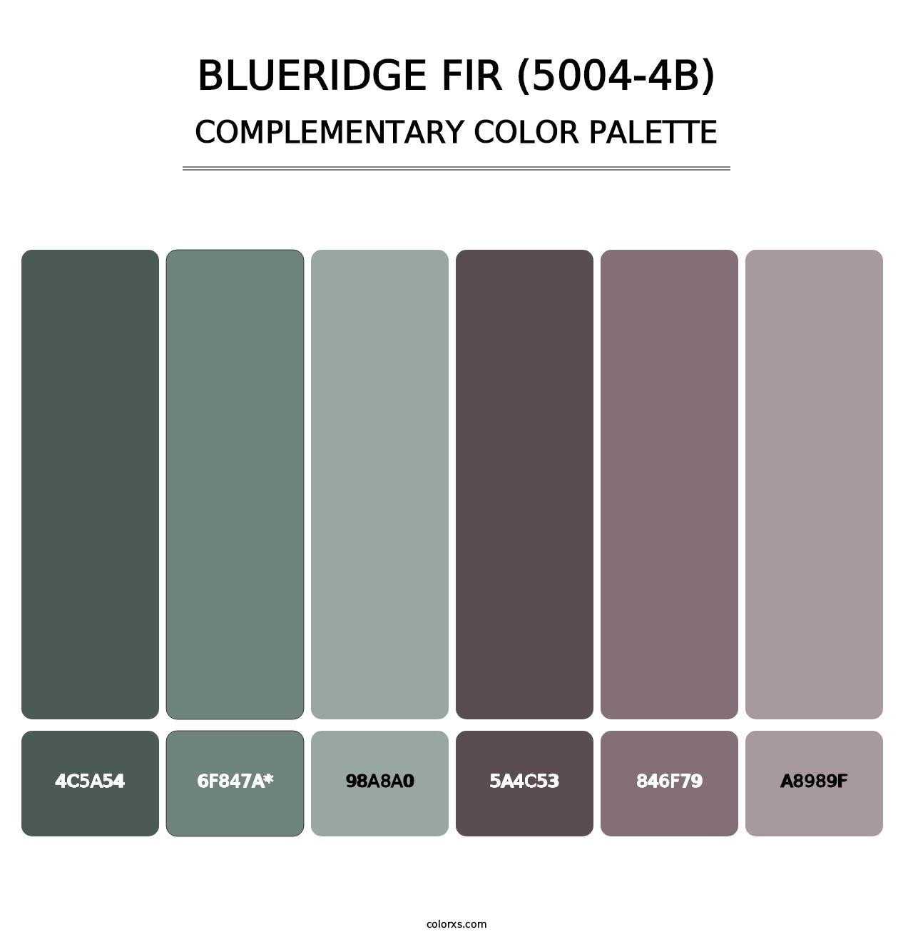 Blueridge Fir (5004-4B) - Complementary Color Palette