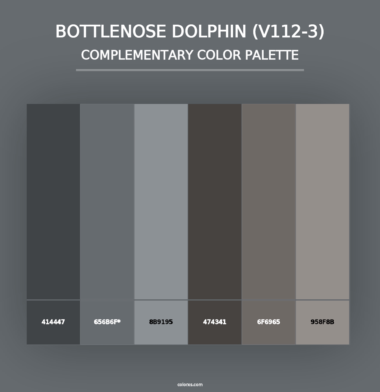 Bottlenose Dolphin (V112-3) - Complementary Color Palette