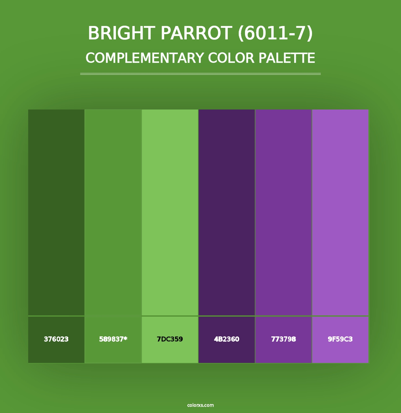 Bright Parrot (6011-7) - Complementary Color Palette