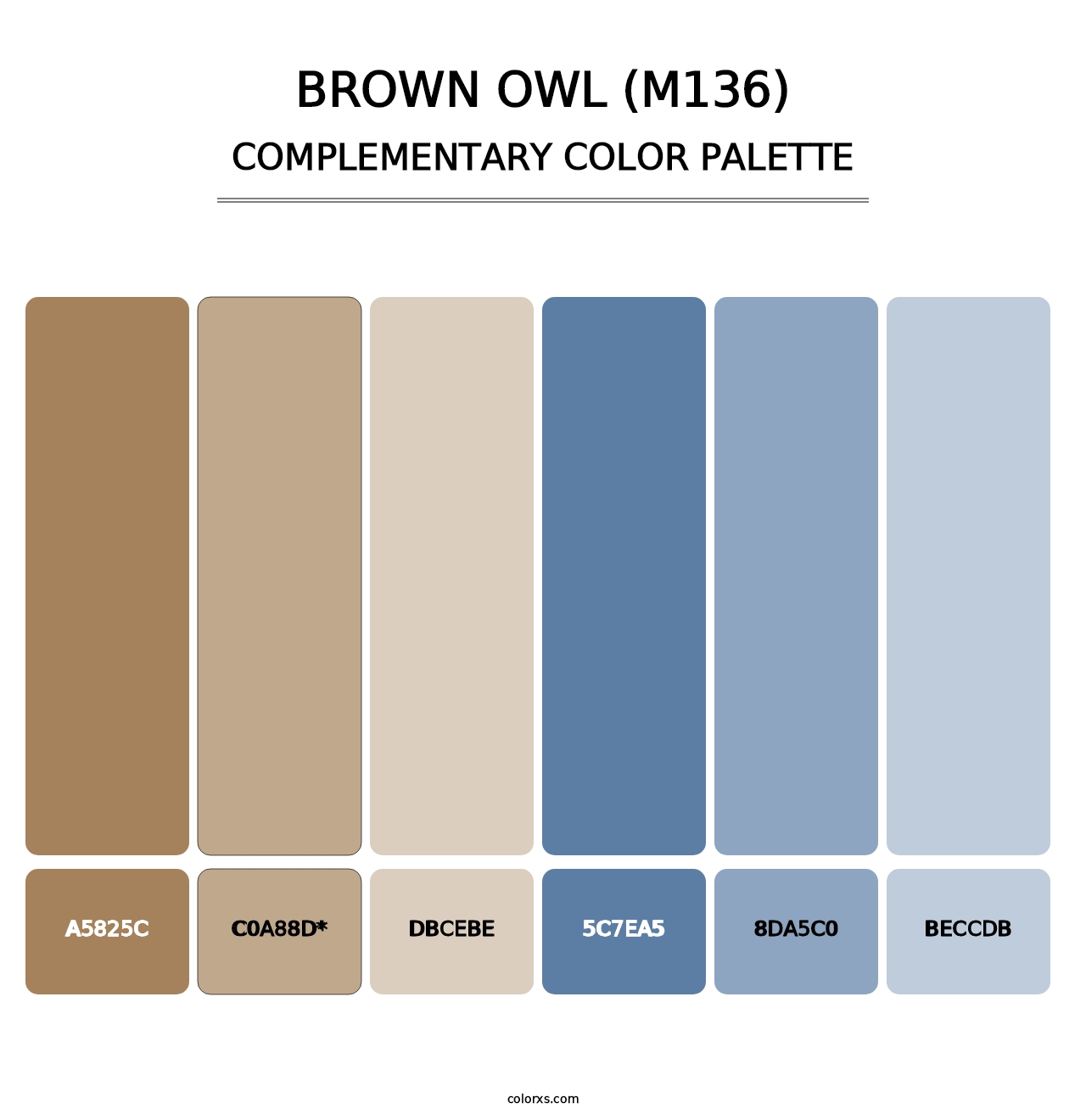 Brown Owl (M136) - Complementary Color Palette